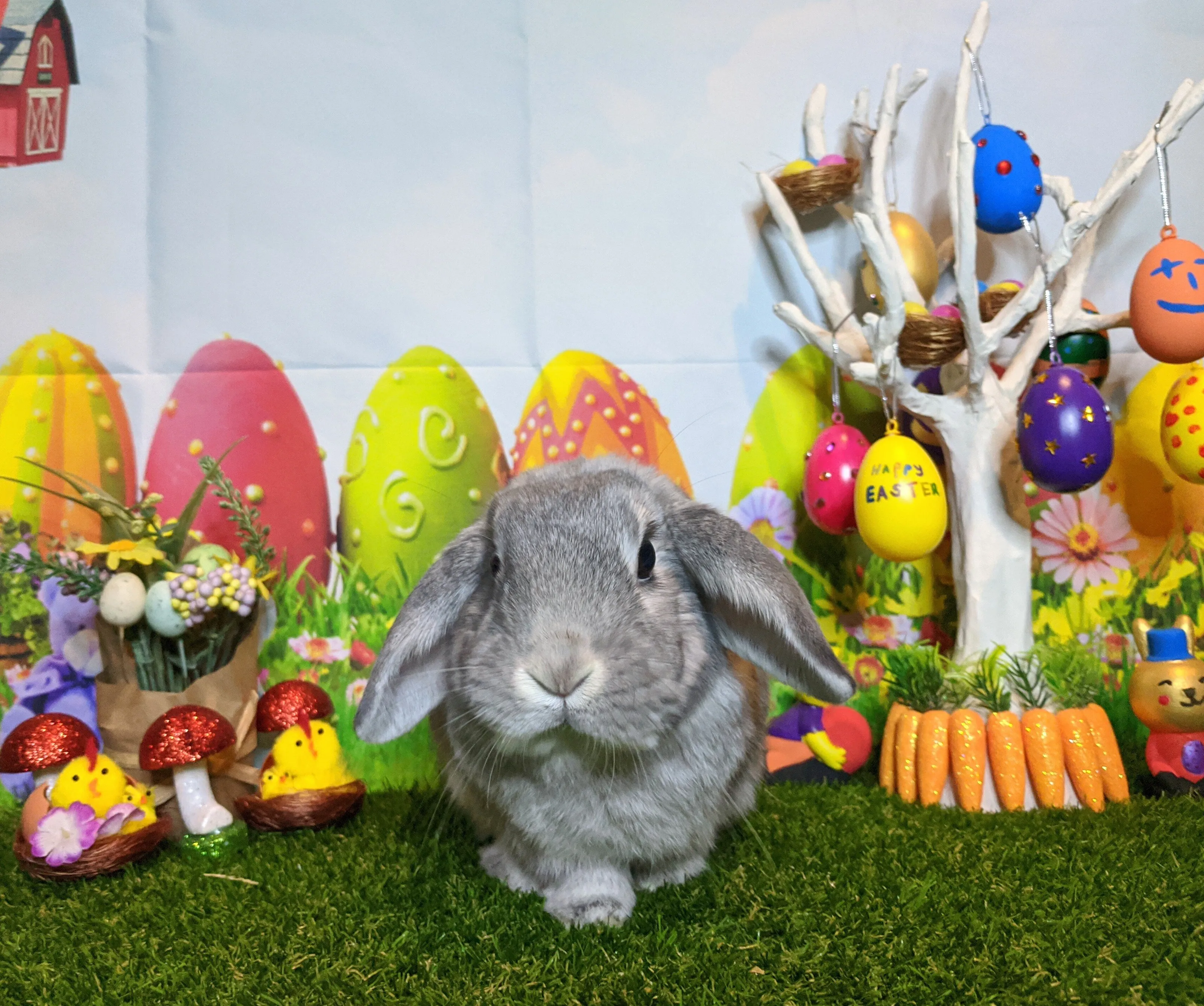 Easter bunny