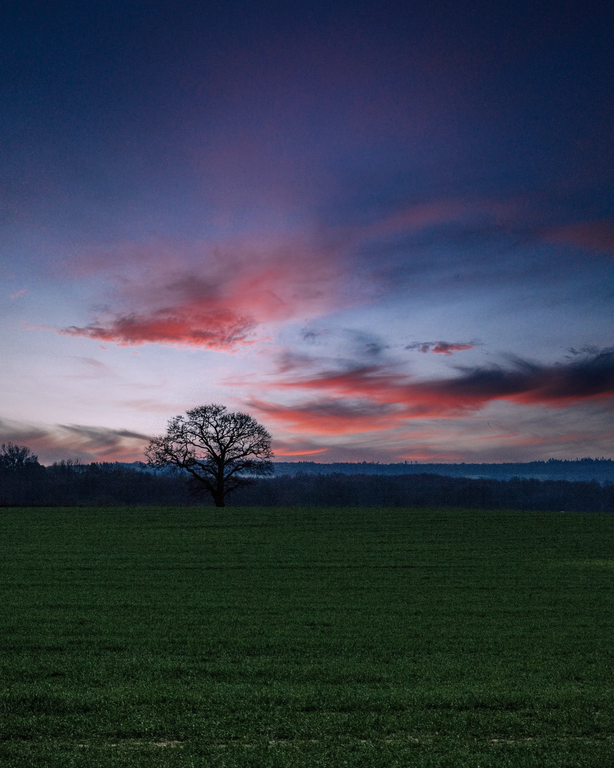 Last sunset