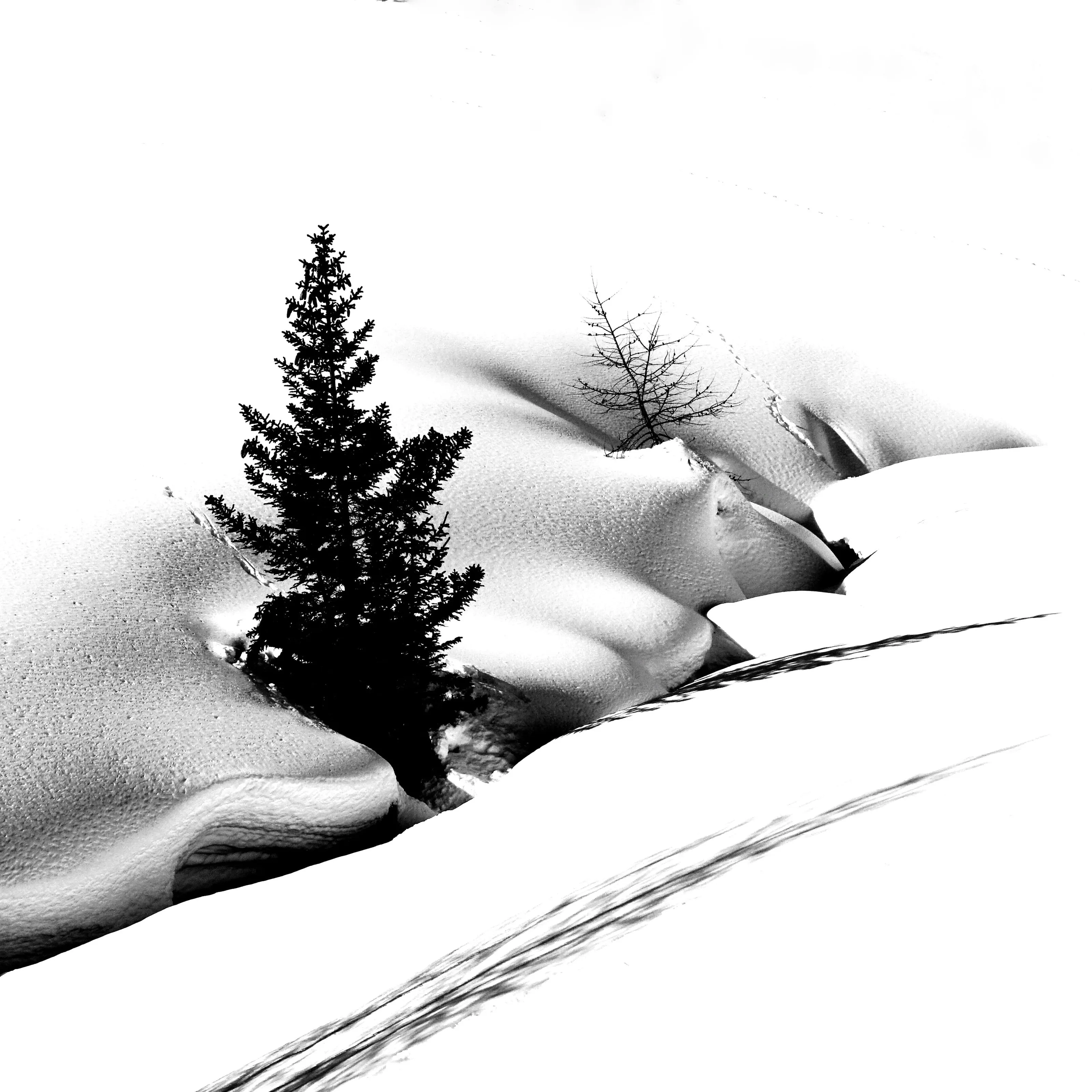 Total white