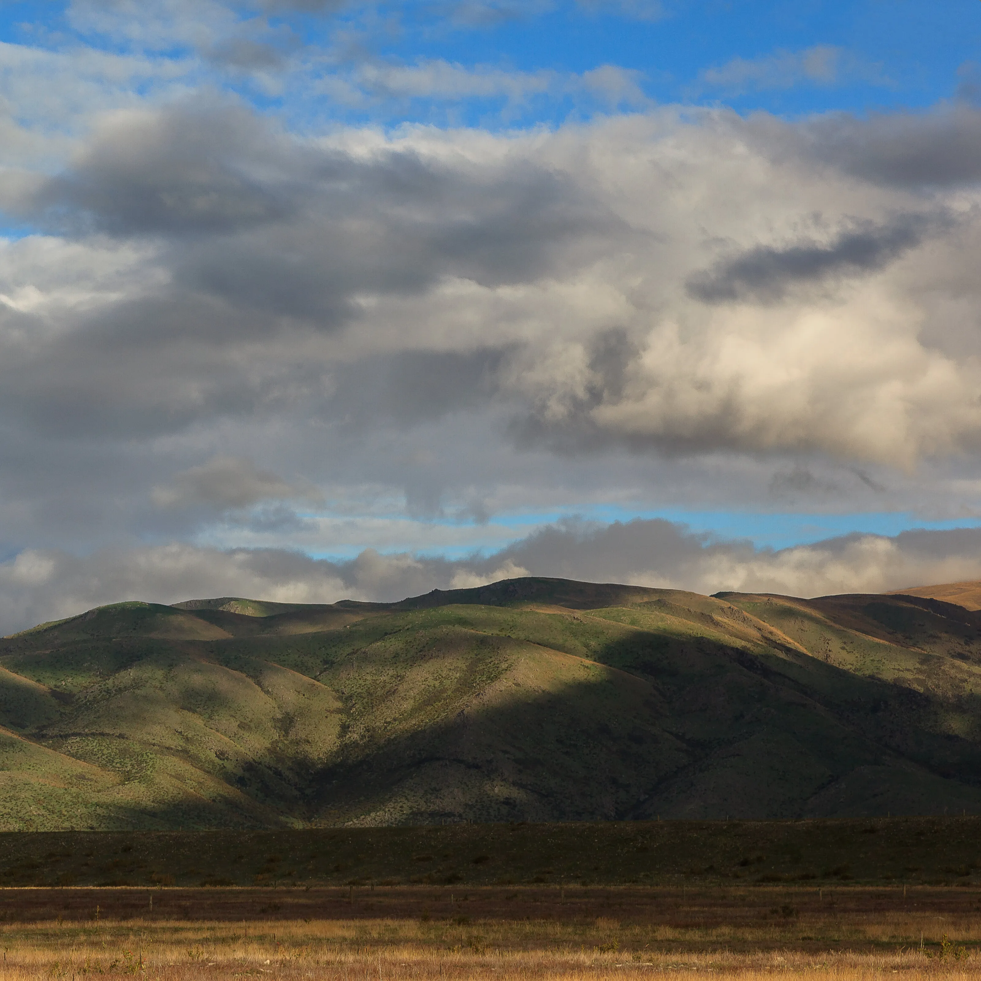 Mackenzie Basin, New Zealand