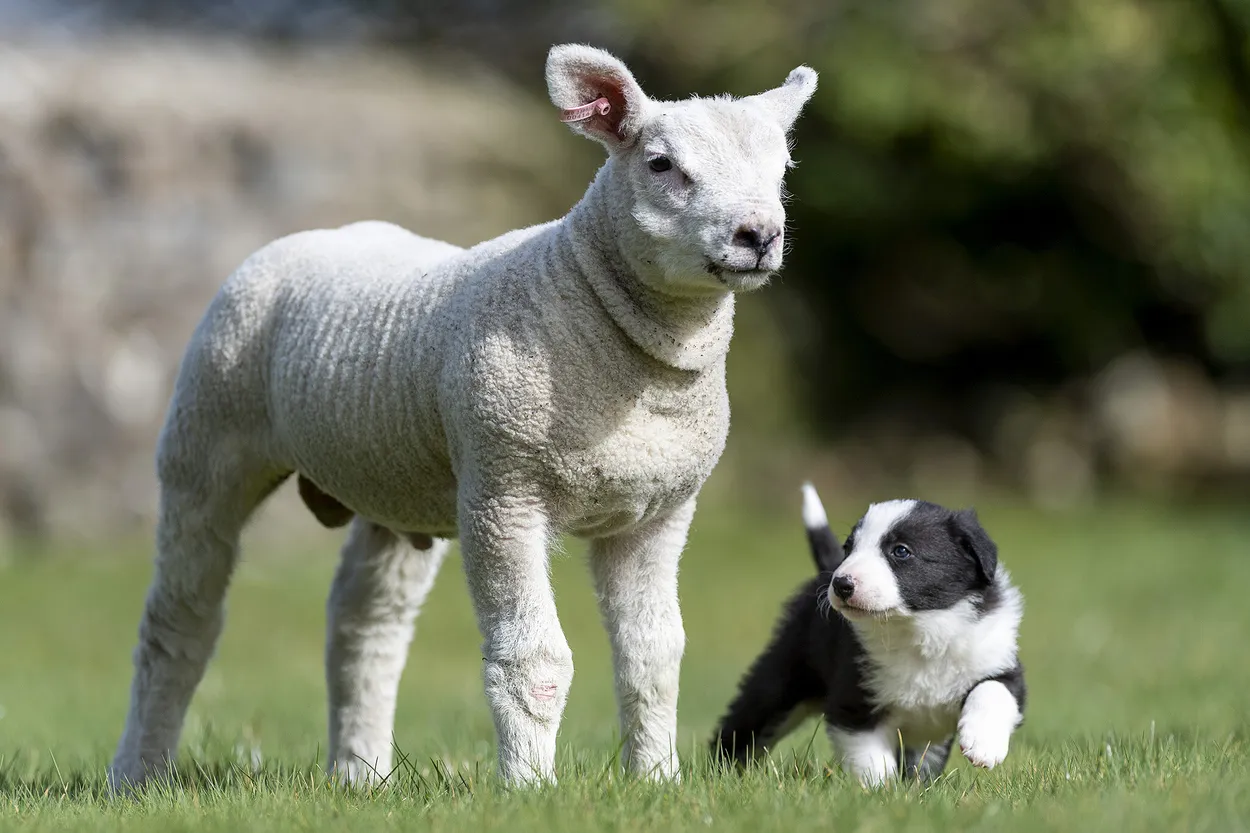 Entry 23900580