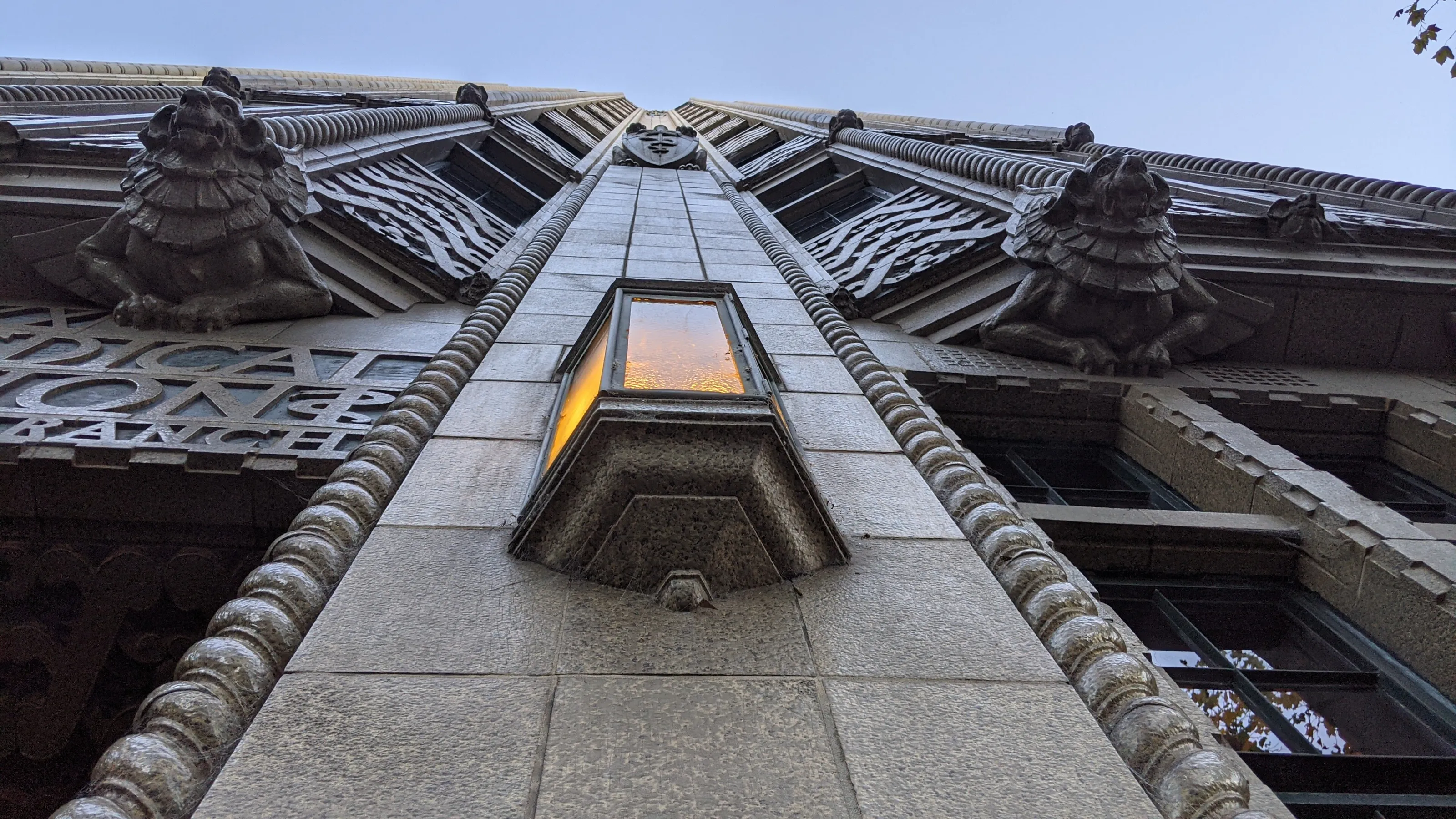 Upwards Stare