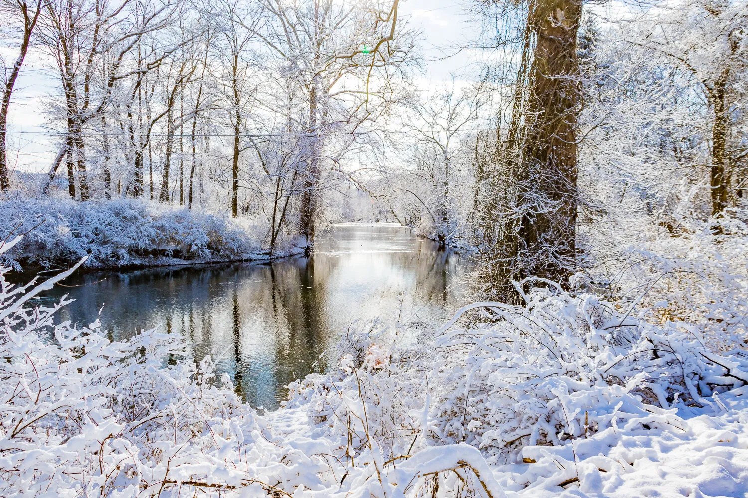Snowy Zen