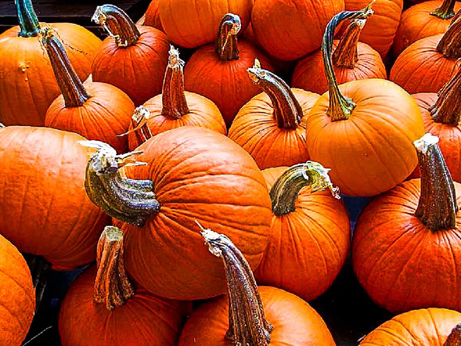 Entry 9296755
