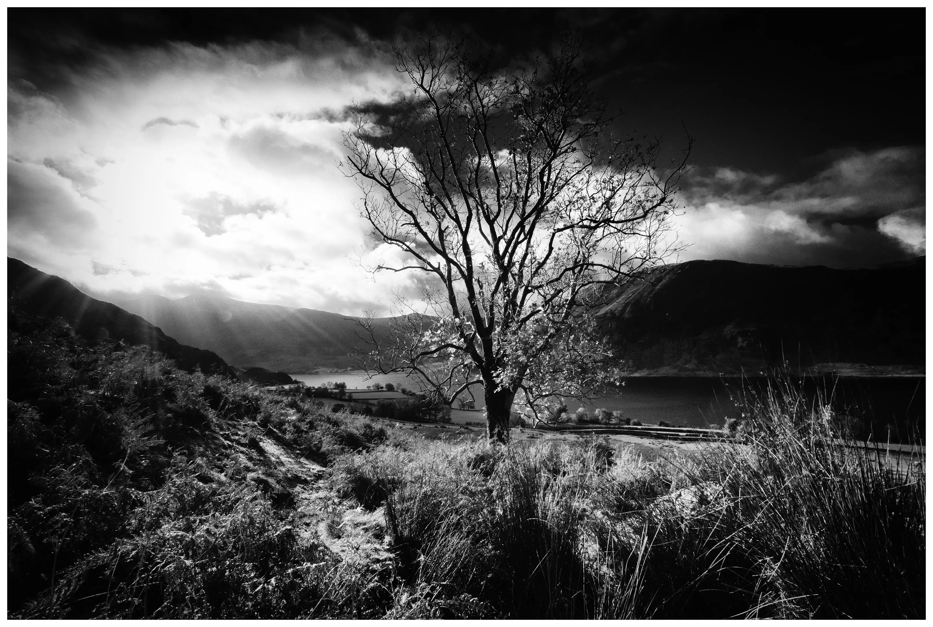 Rannerdale Lake District