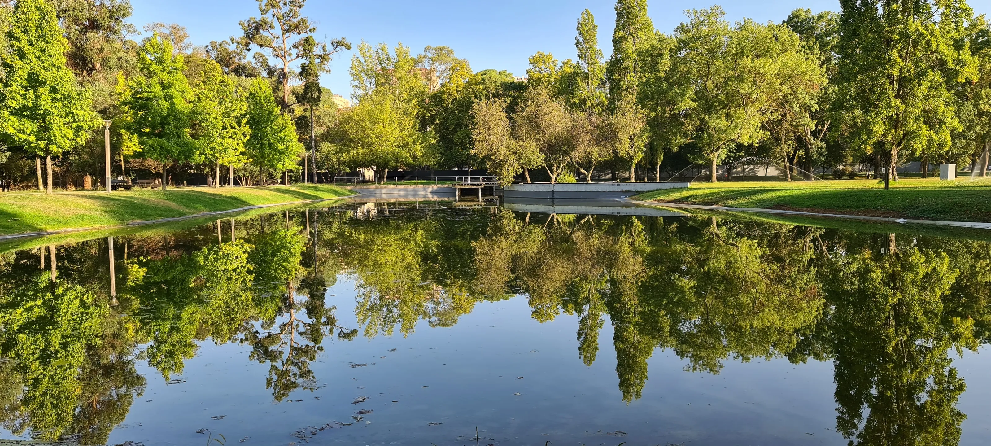 Lake on the Park