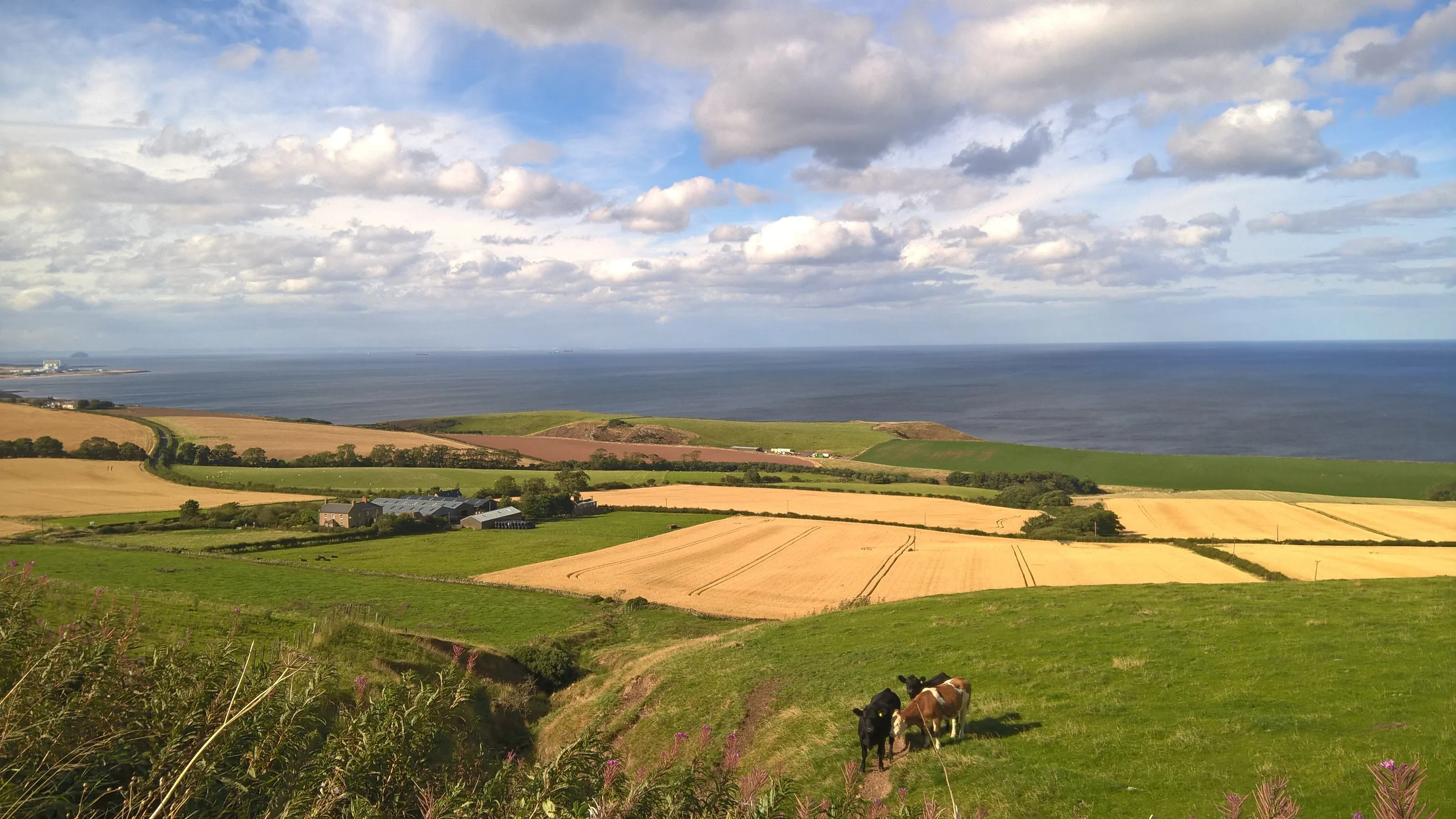 Pastures down to the sea