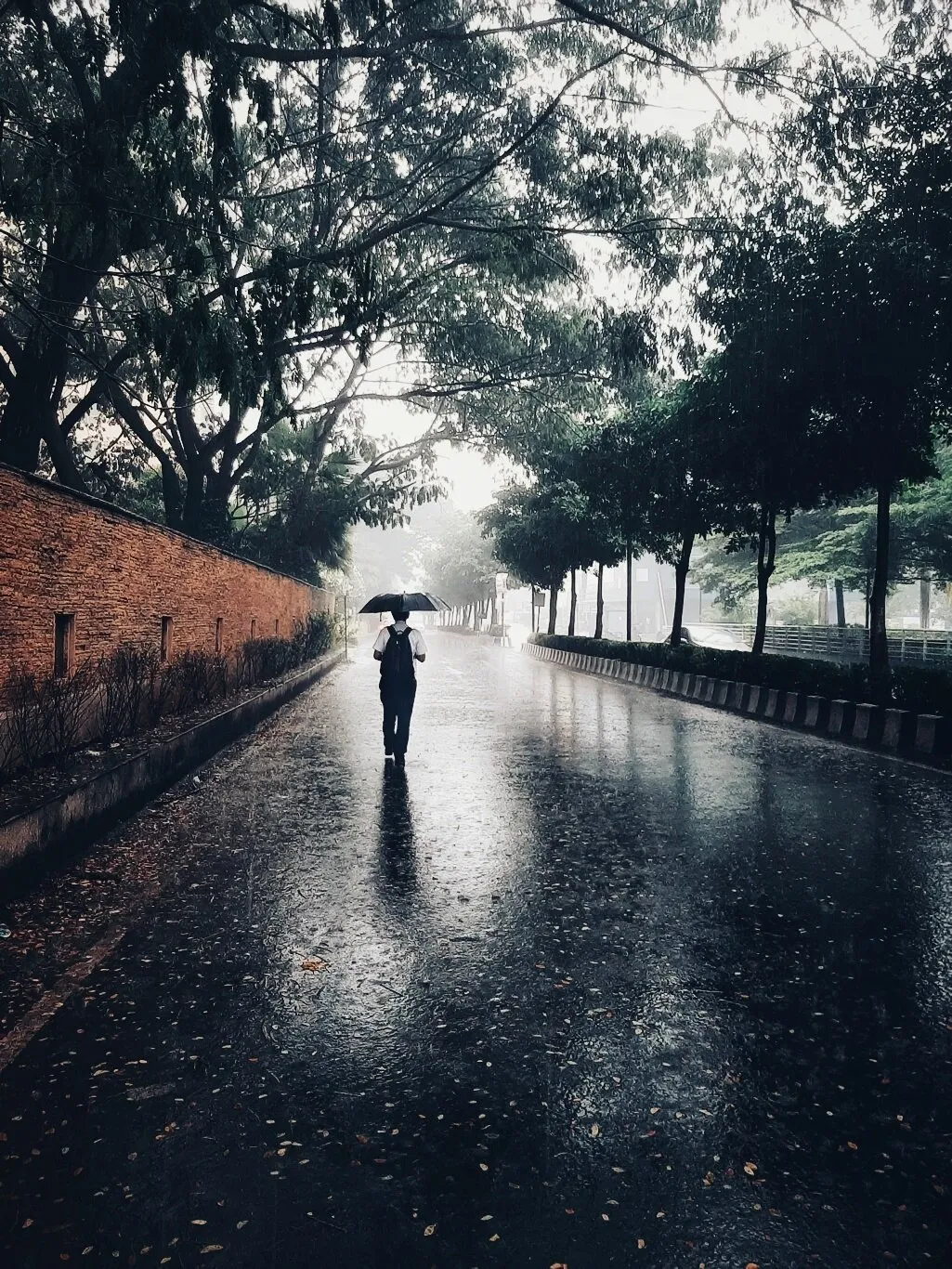 Rainy Day