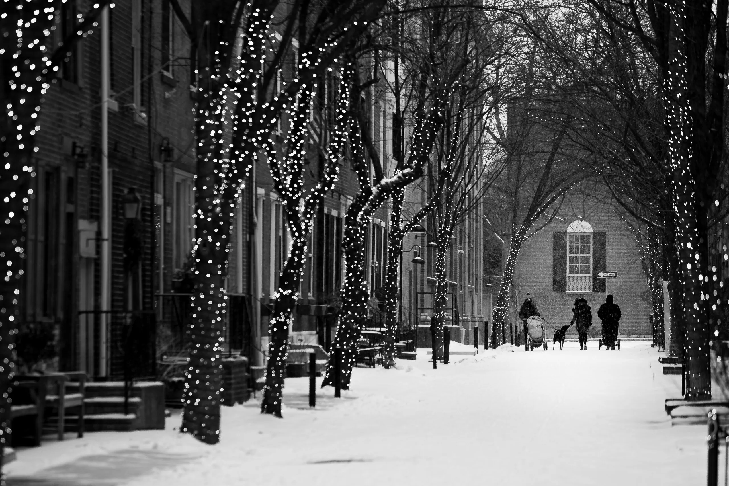 Snow in Rittenhouse
