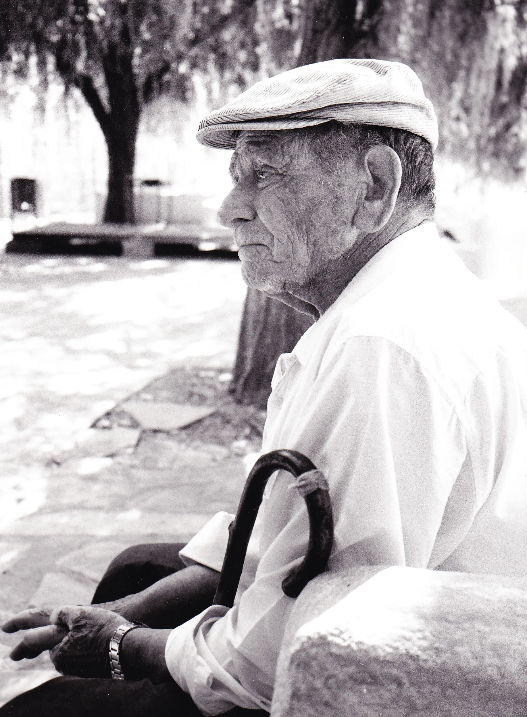 Spanish Gentleman