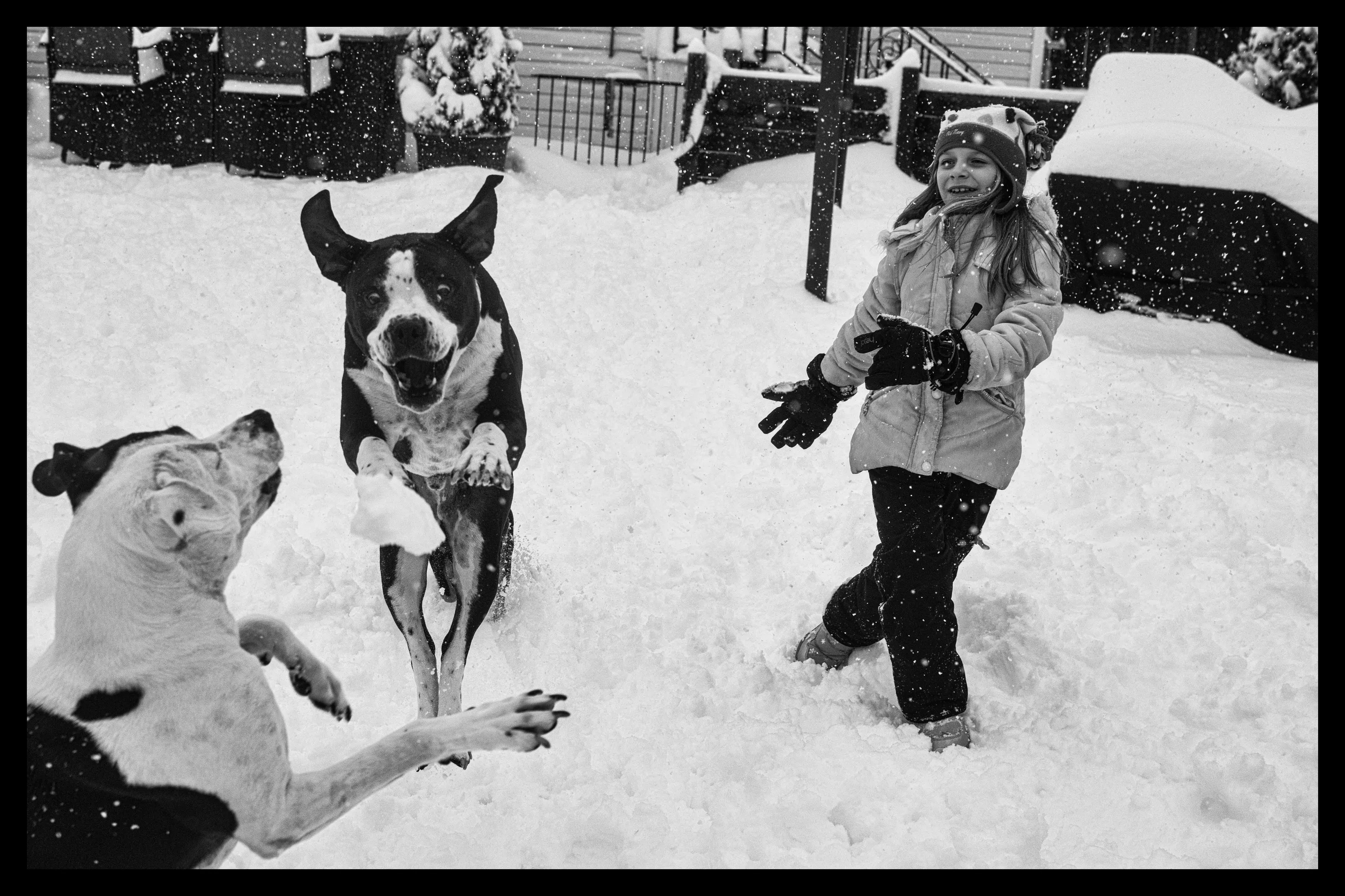 Snow Delight