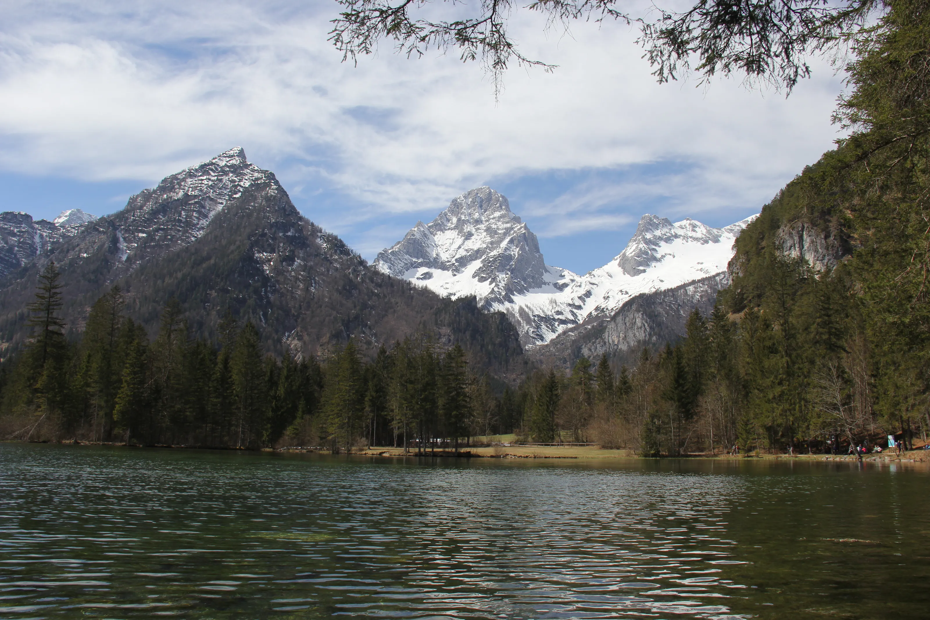 All about nature