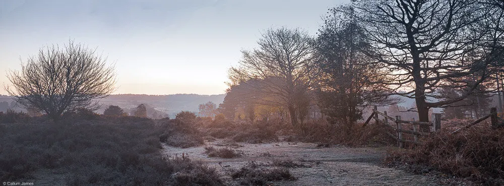 Entry 21971718