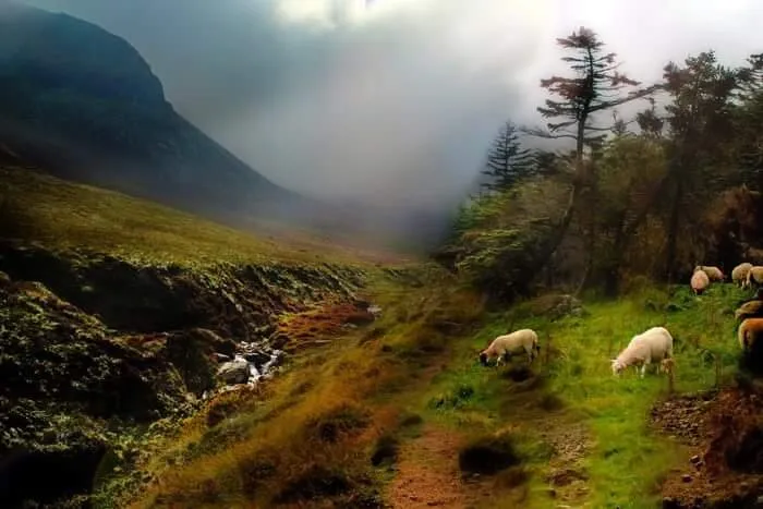 Sheep's Pass