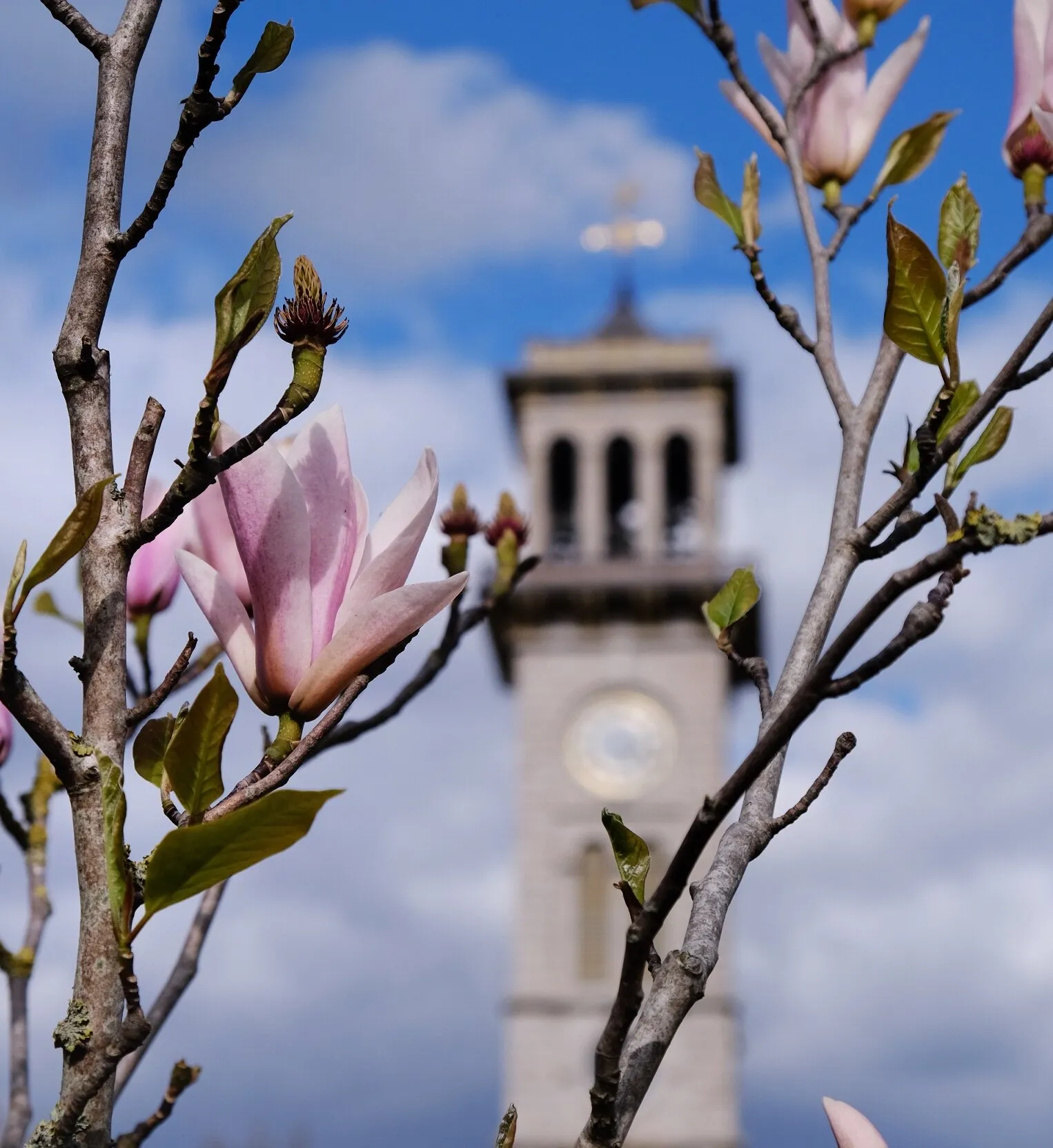 Spring has arrived