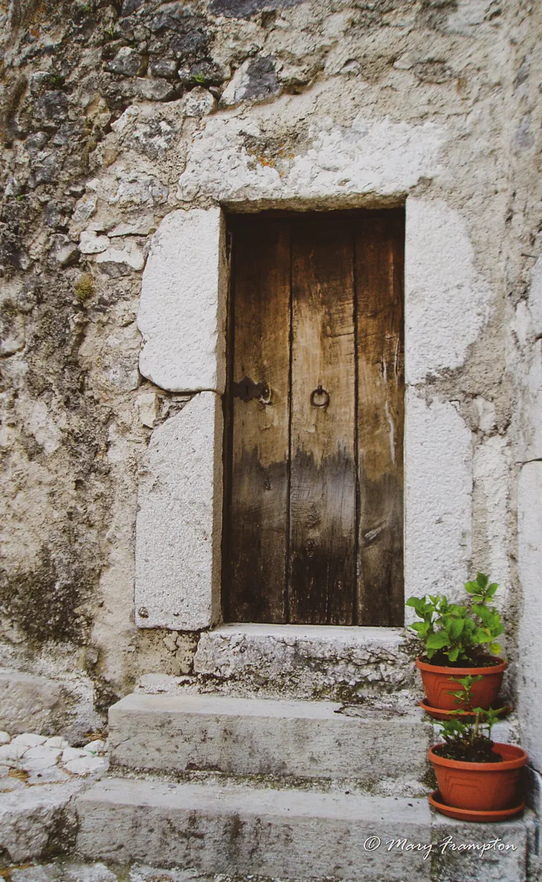Entry 11102459