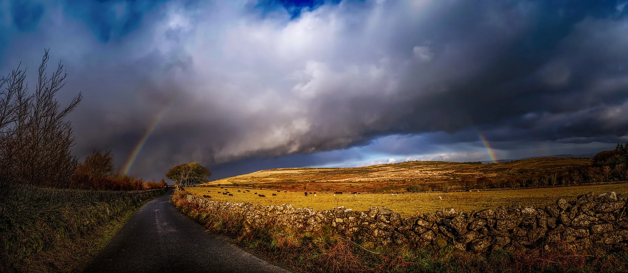 Dartmoor