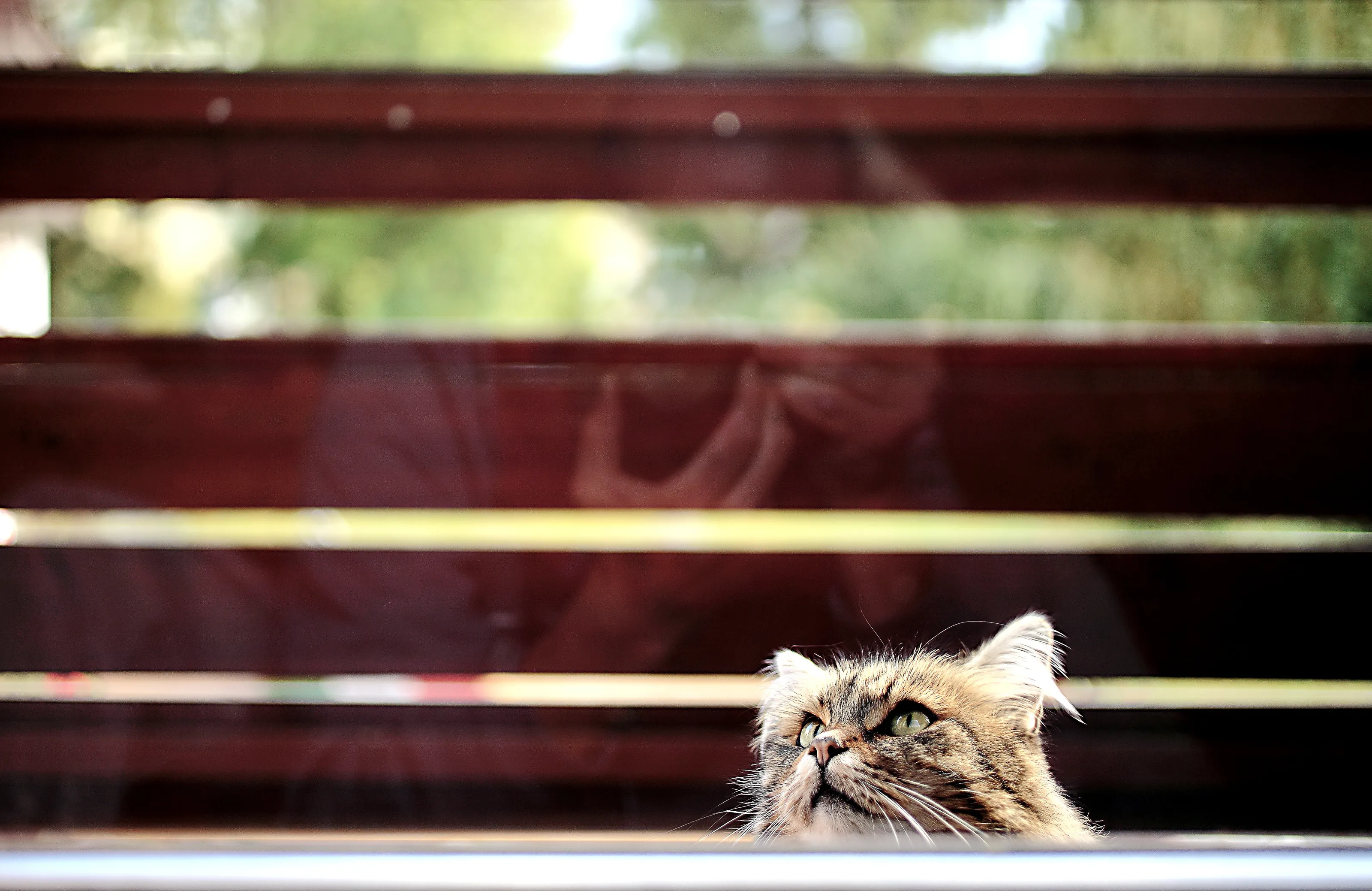 looking at my reflection from the outside