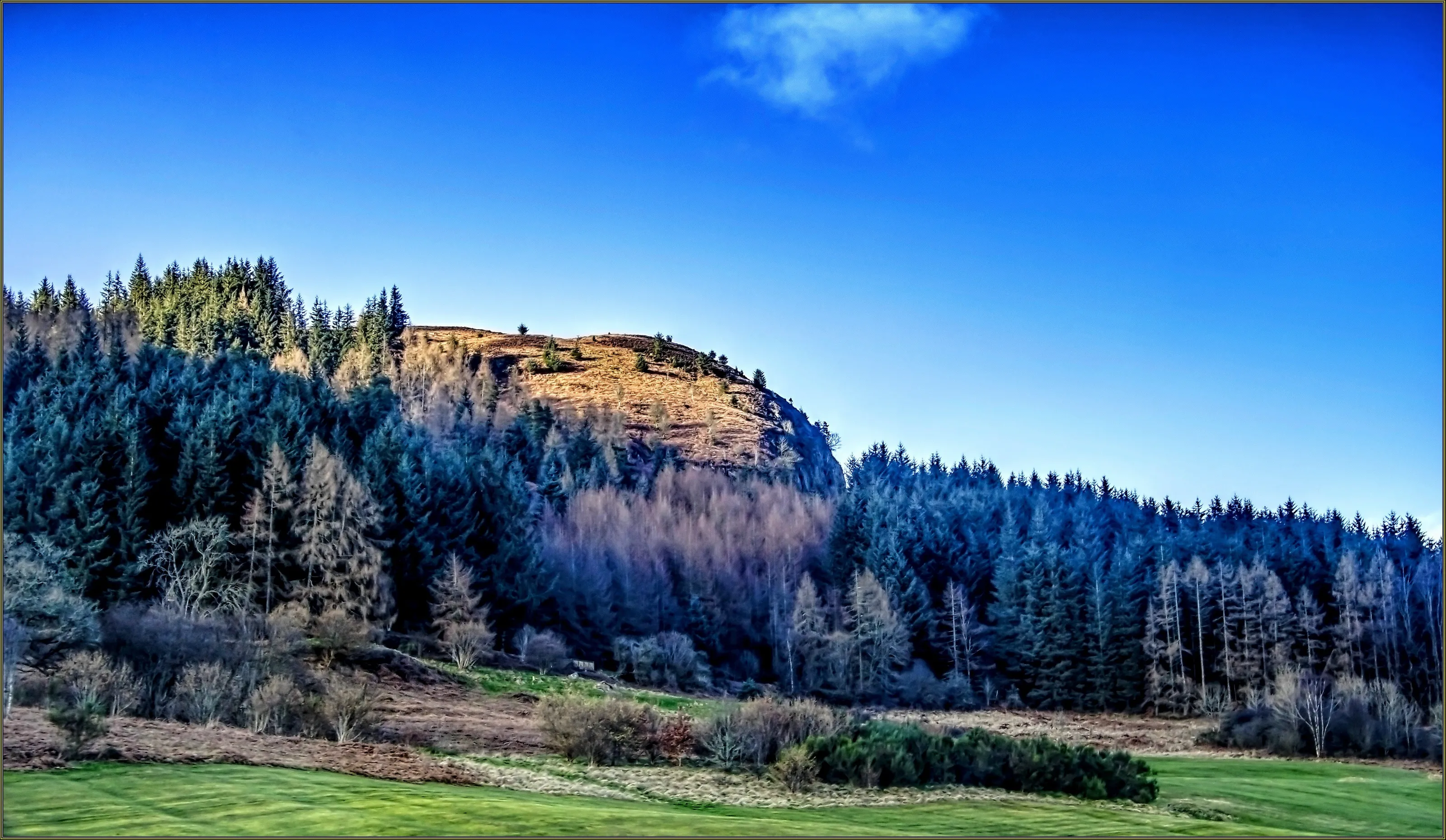 the hill