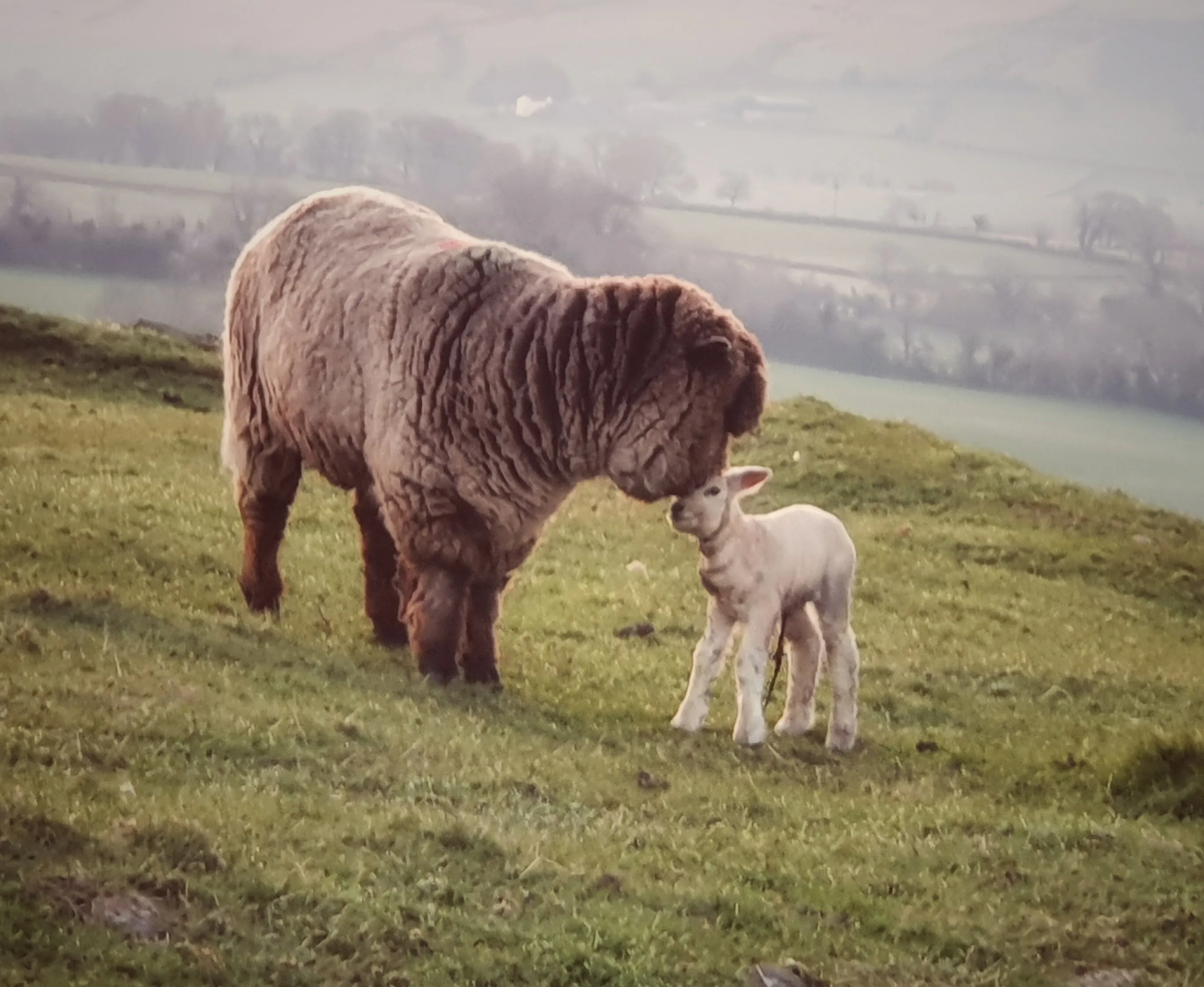 Kiss off mum