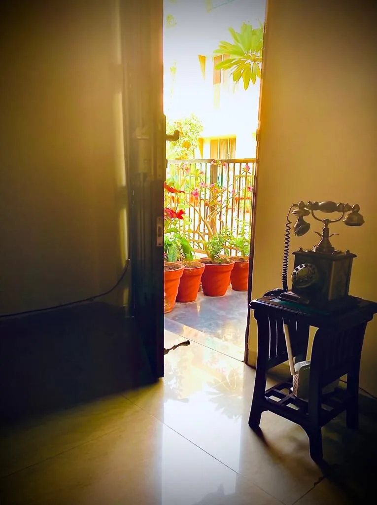 morning light
