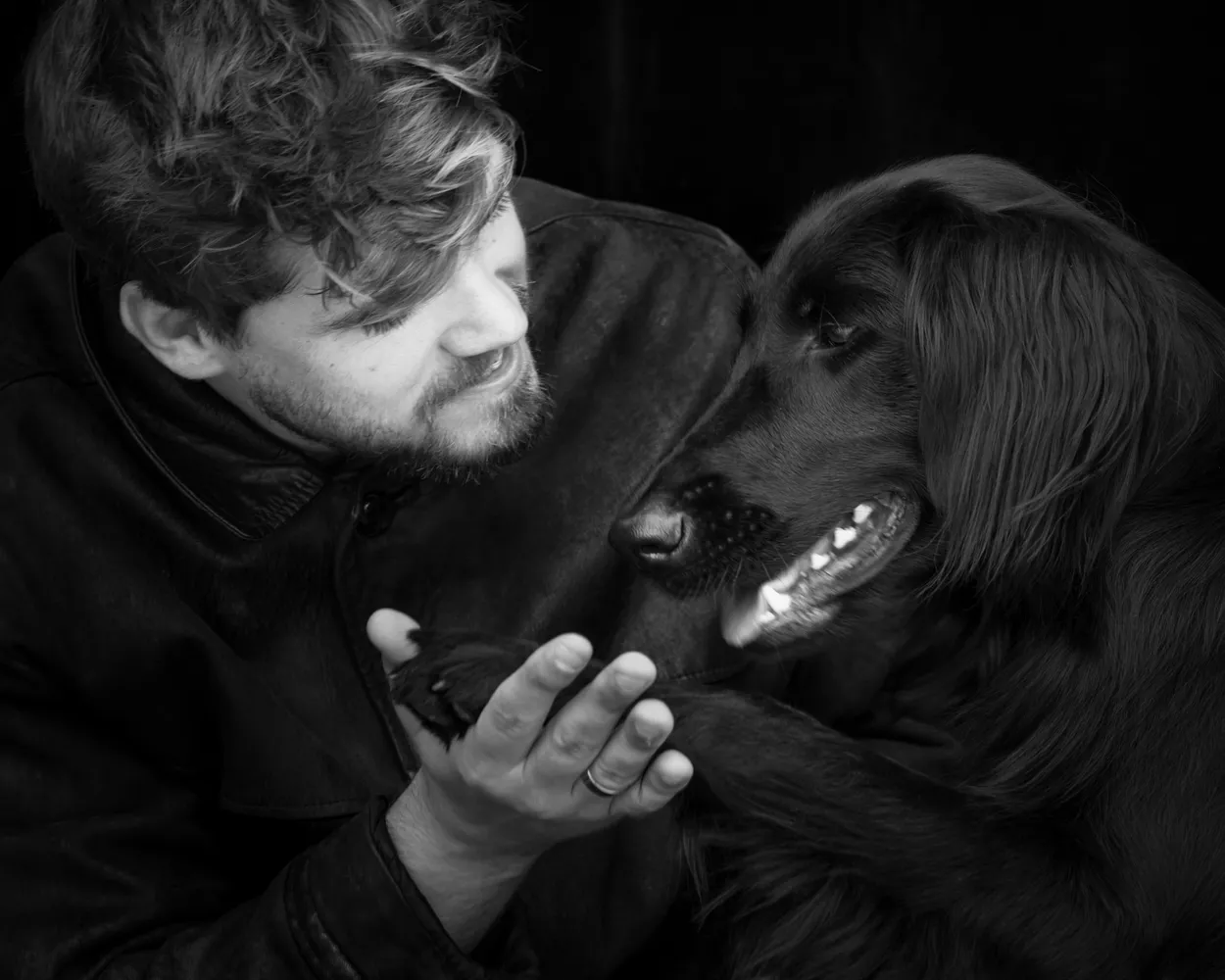 Entry 9372264