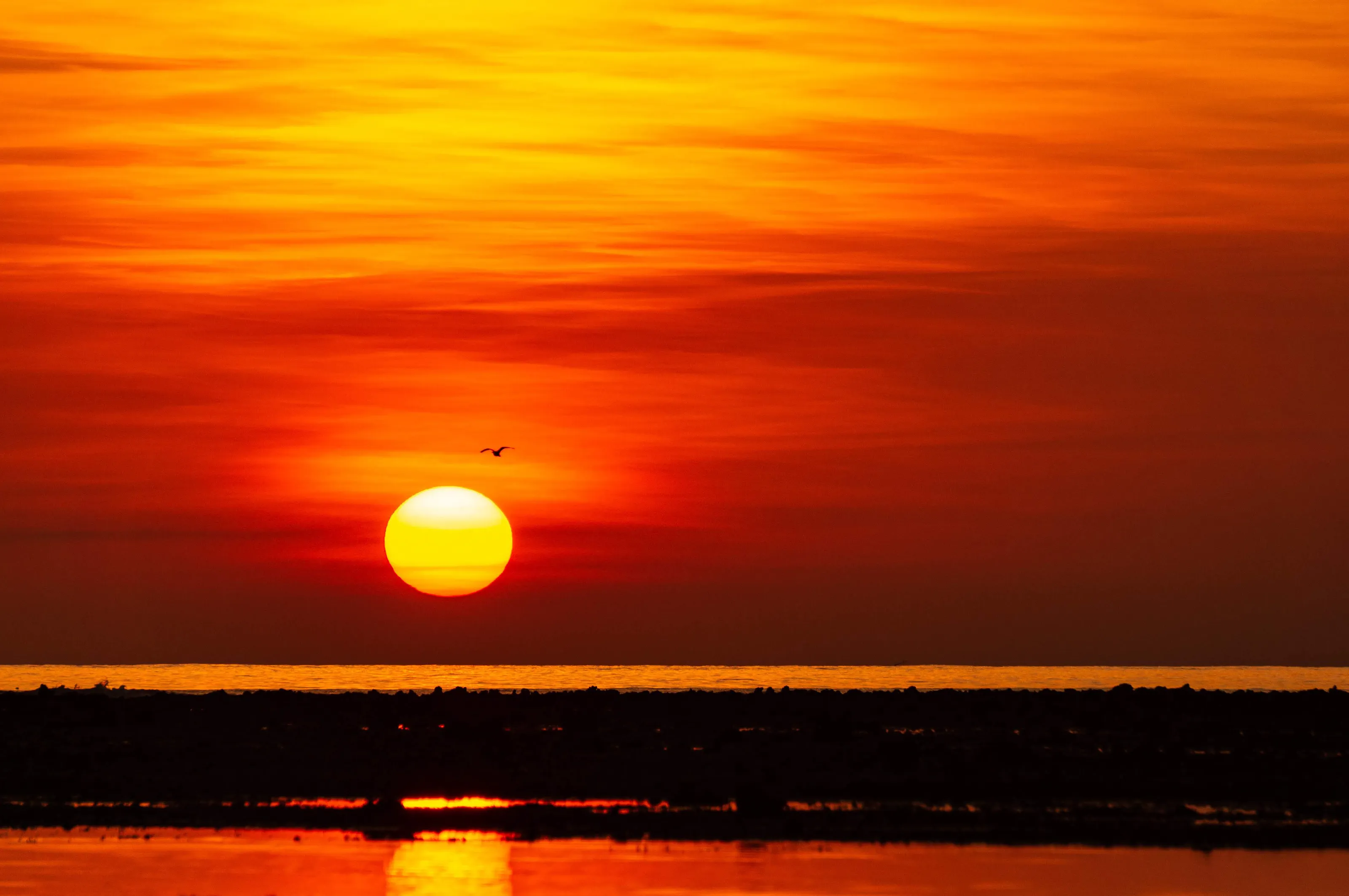 The sky is on fire!