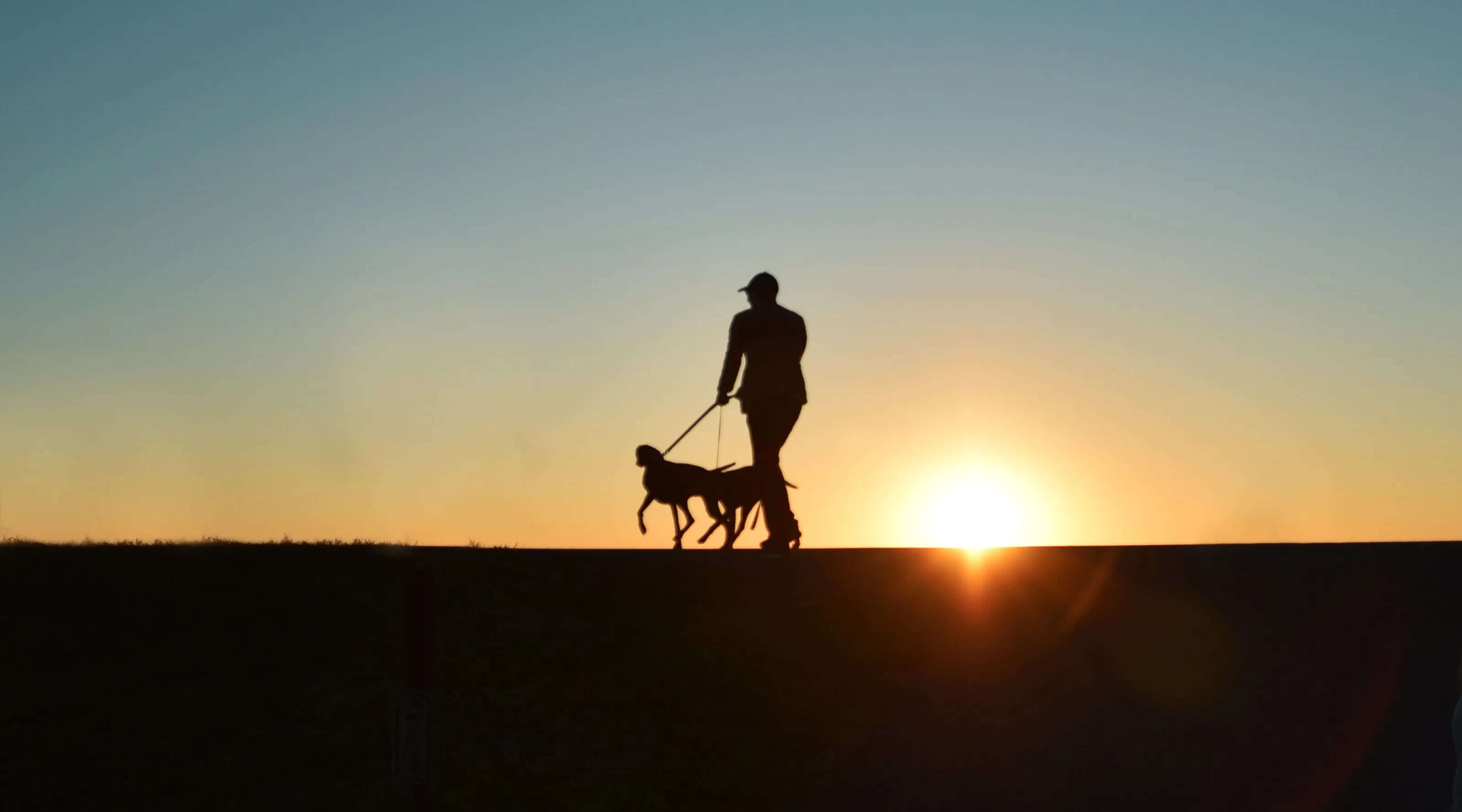 Sunset walk