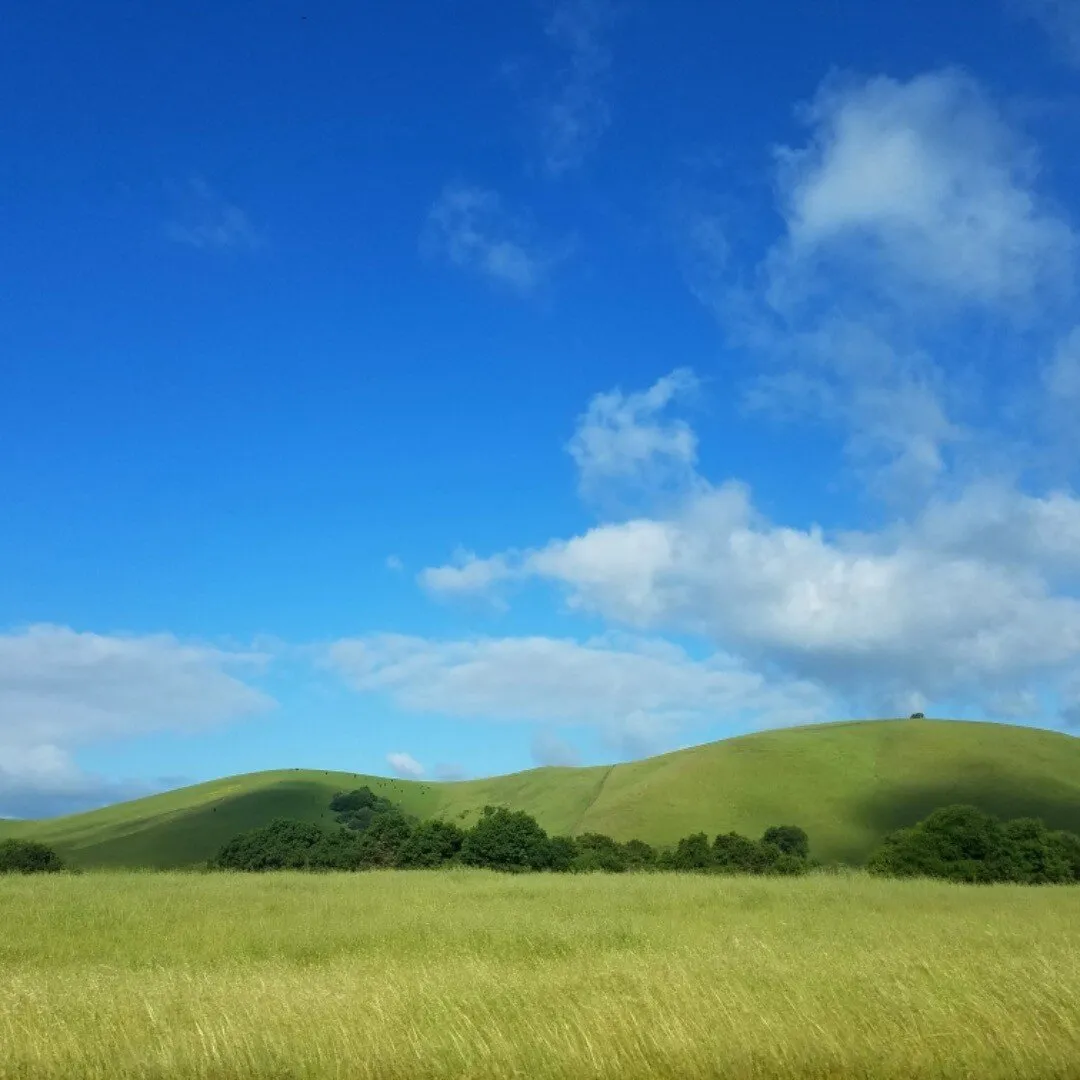 California