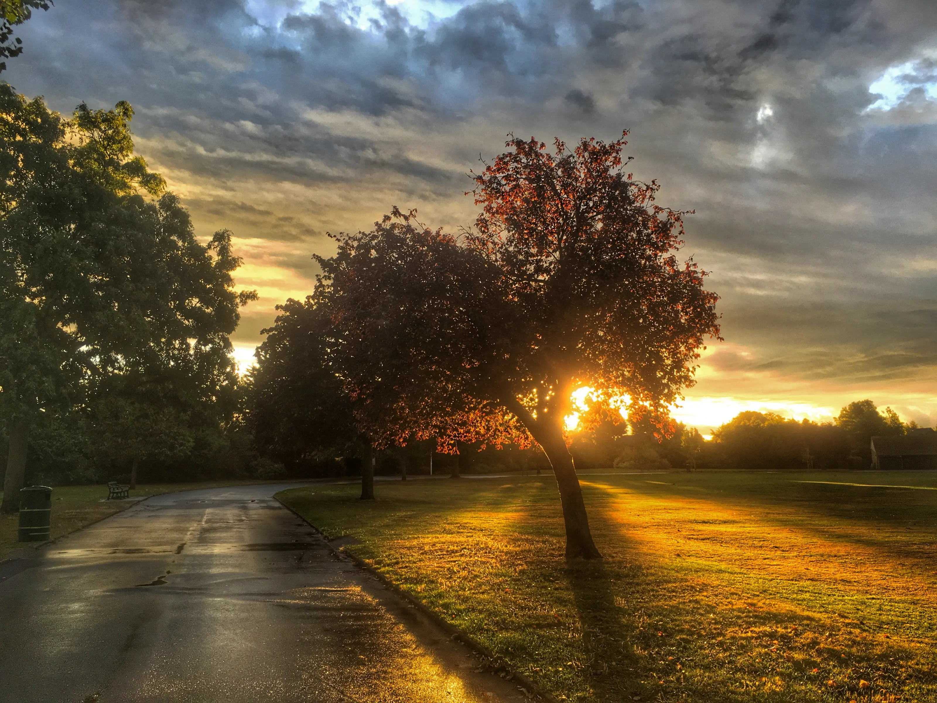 Hylands Park sunrise