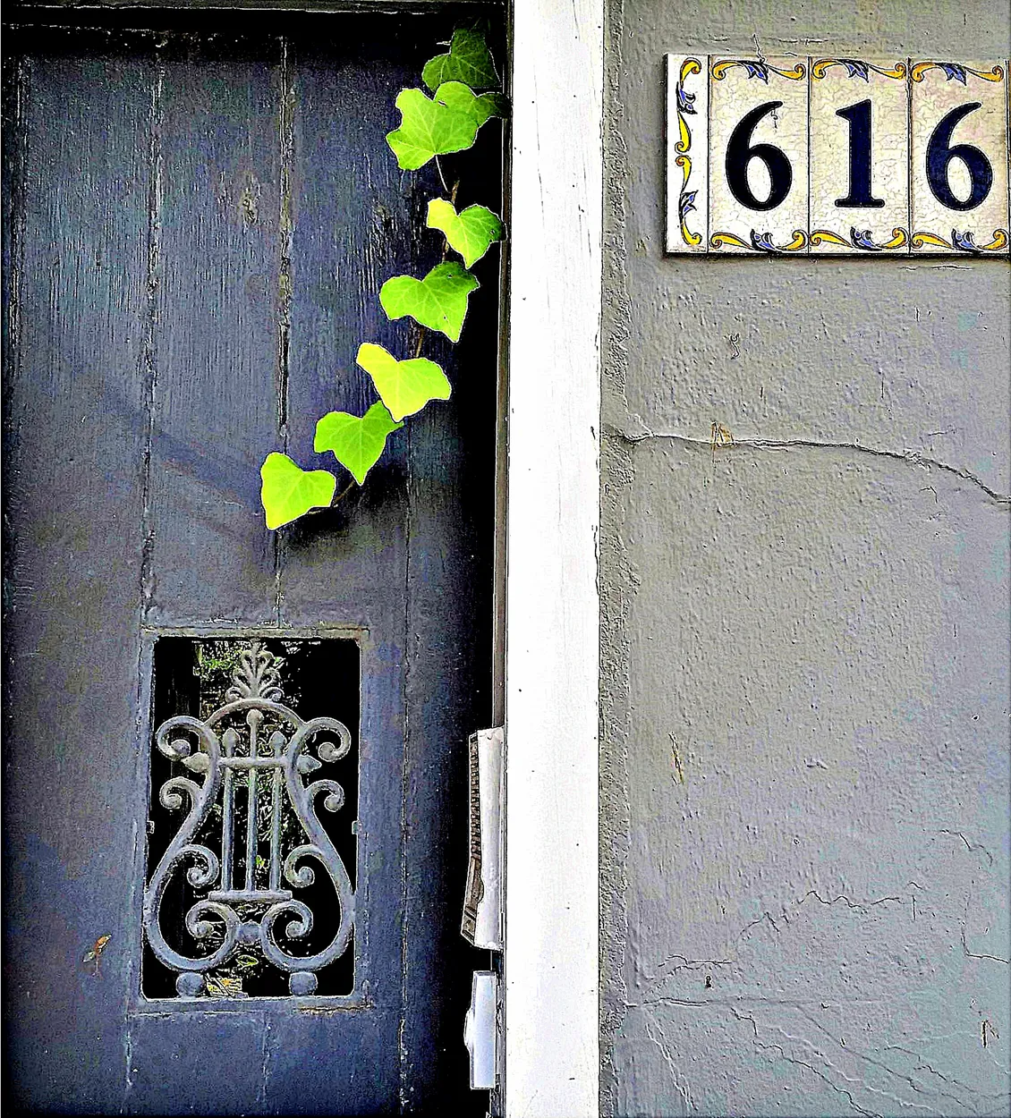 Entry 11467221