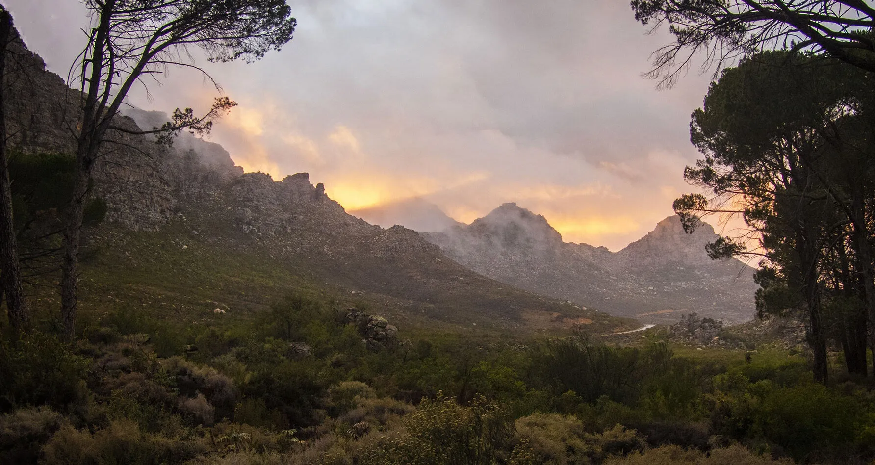 Cedarberg Dawn
