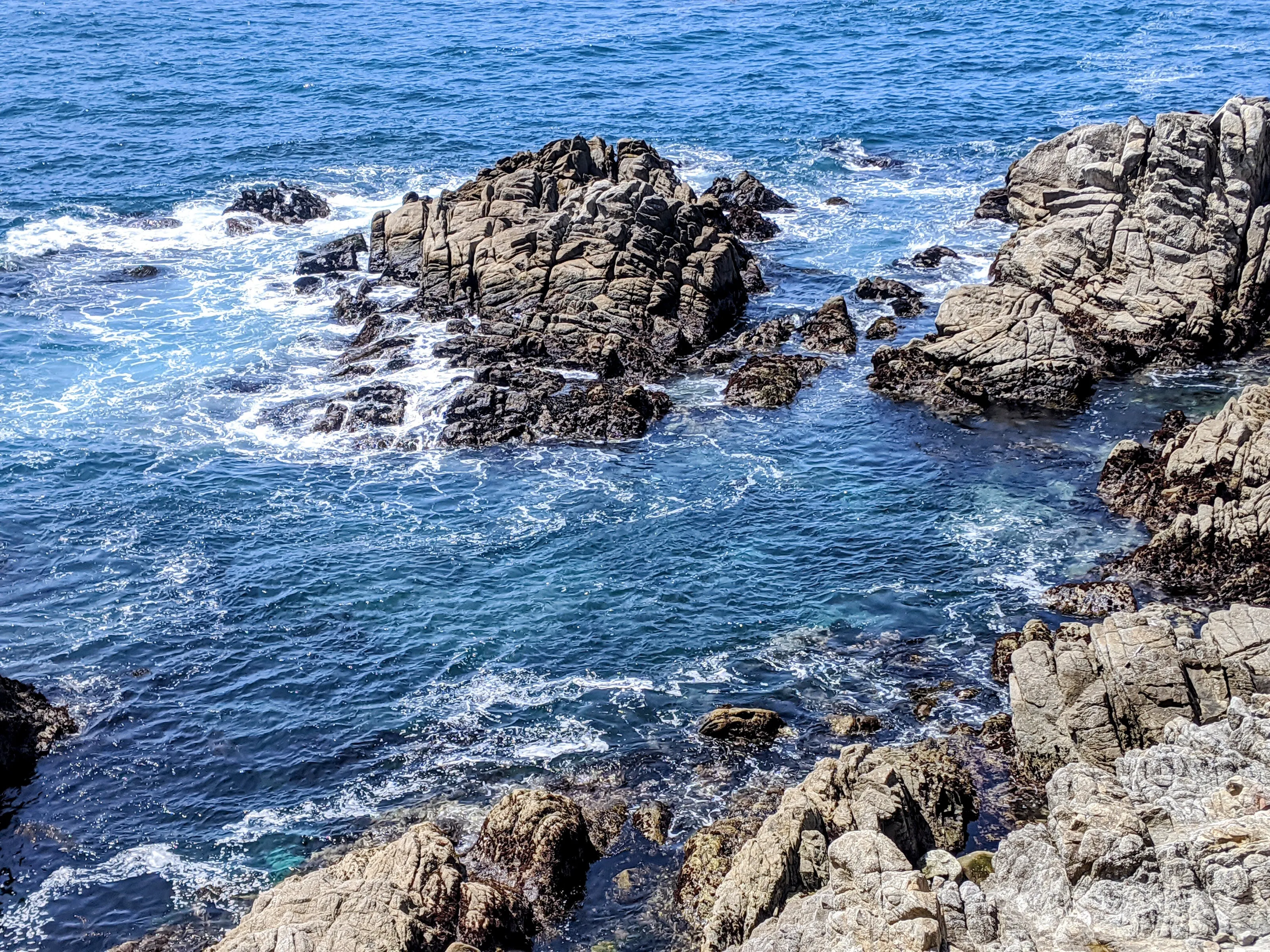 Monterey Mood