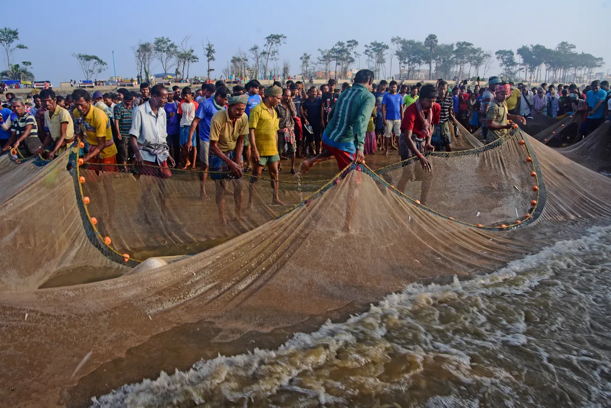 Entry 27466155