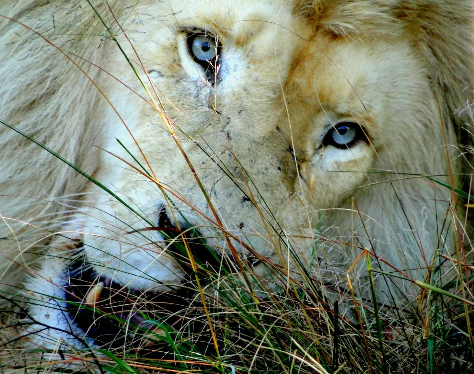 Through my eyes
