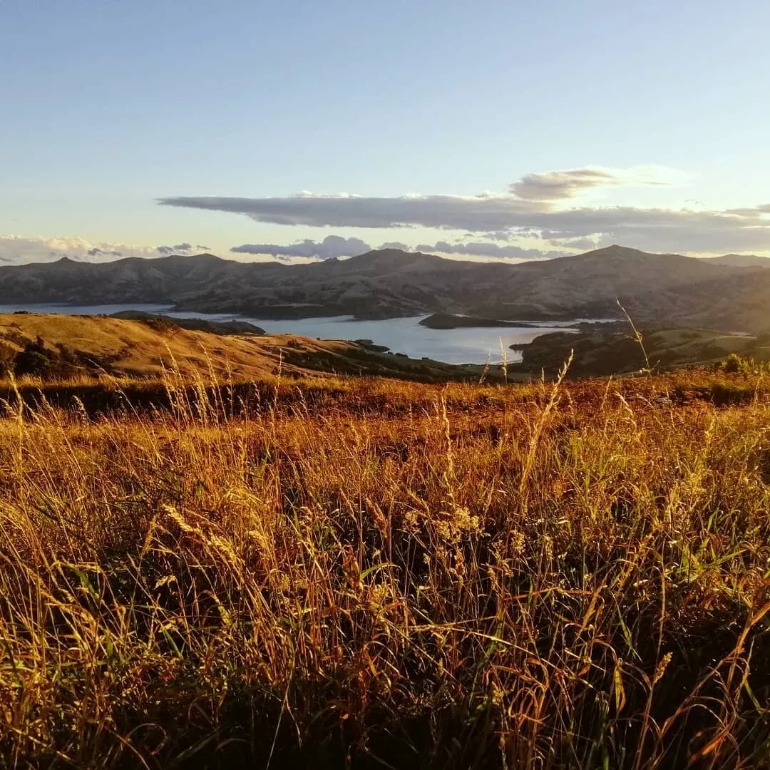 Akaroa Sunset