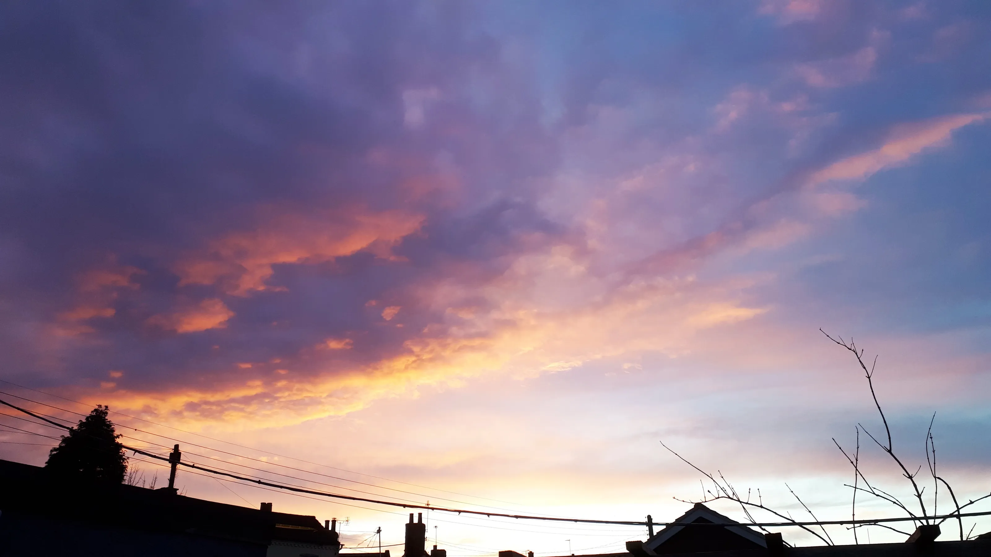 Shepherd's delight.