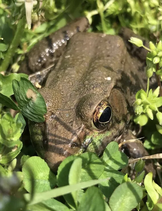 Close up am I right?