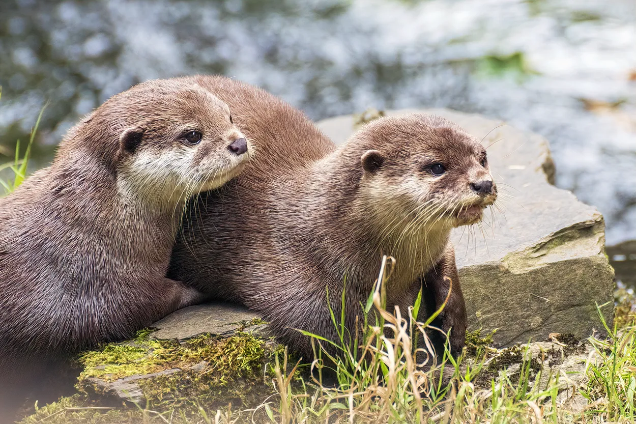 Entry 13927683