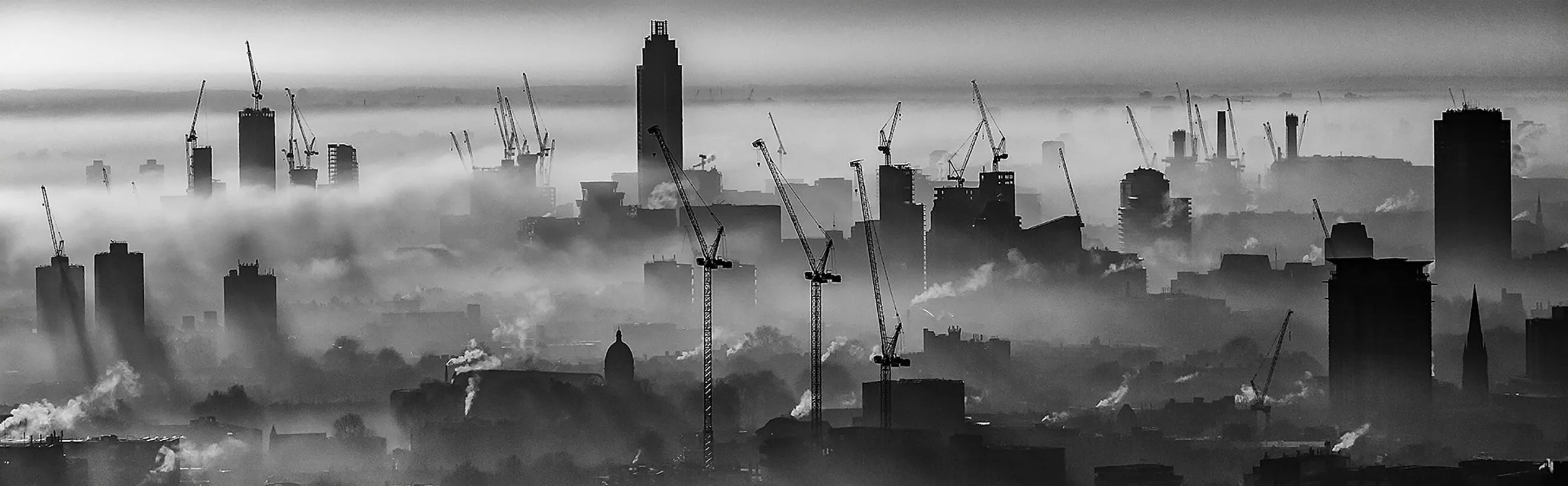Cranes in the Mist
