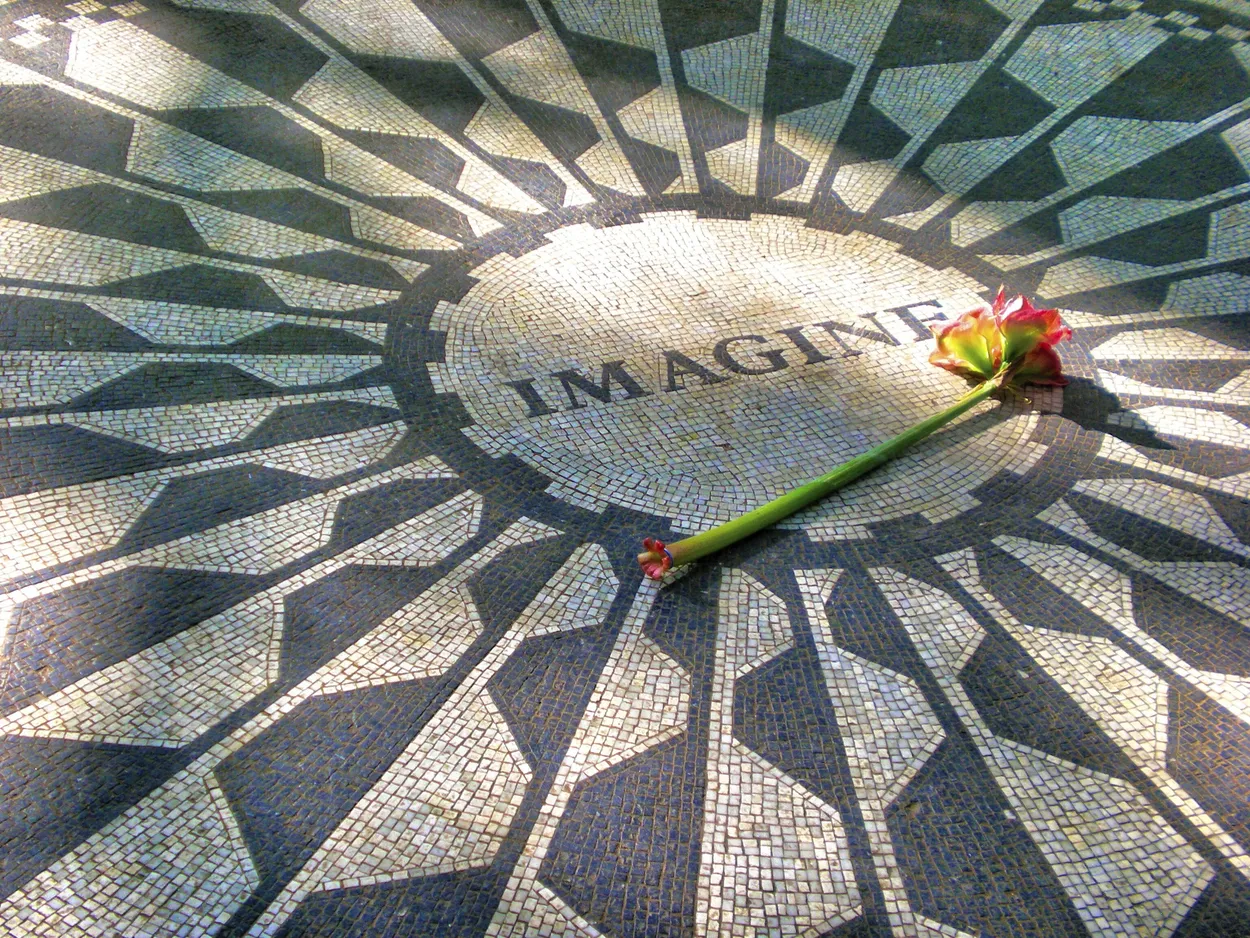 Entry 11152351