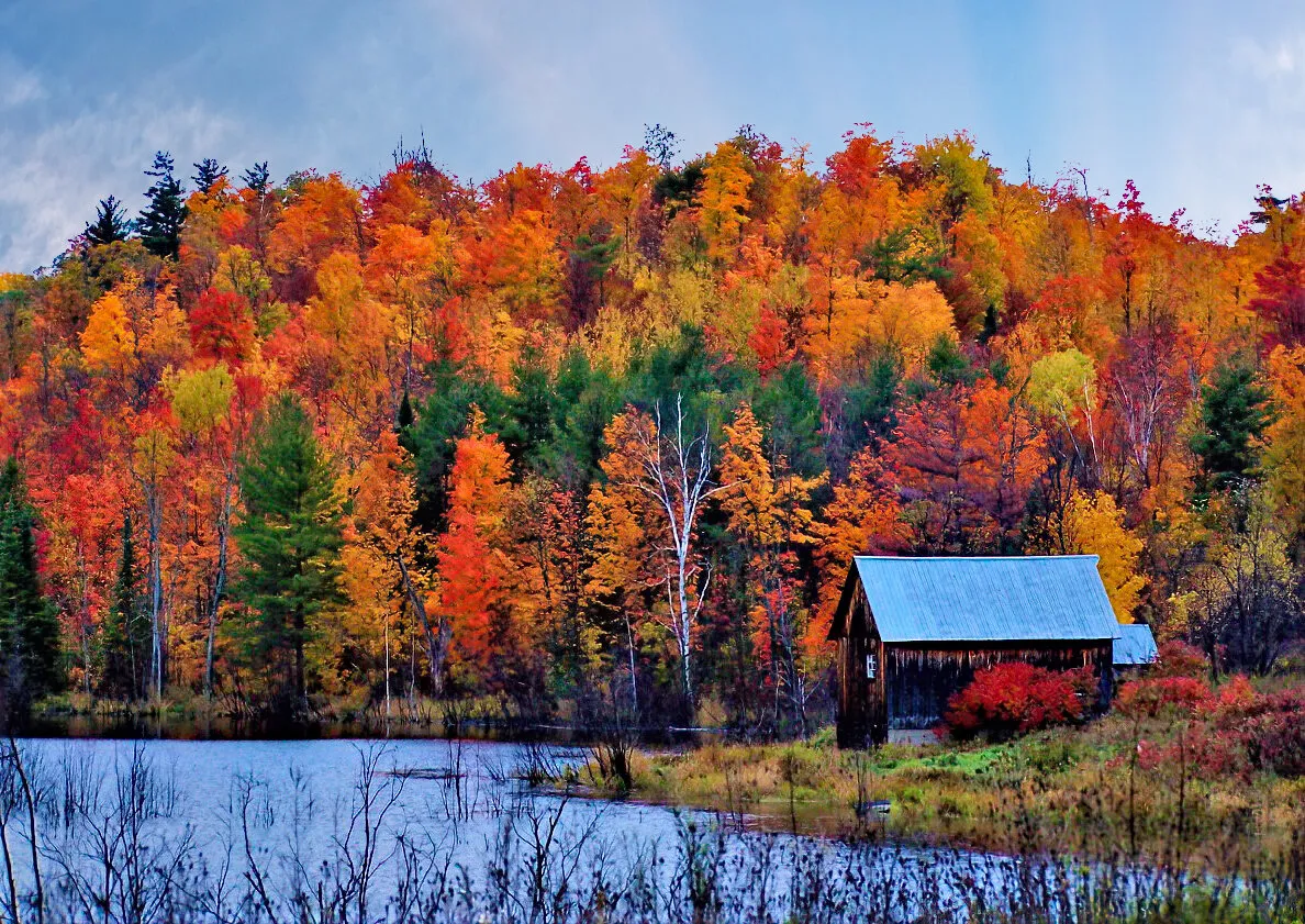 Fall colours