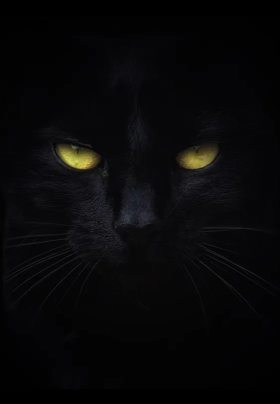 Night Watcher