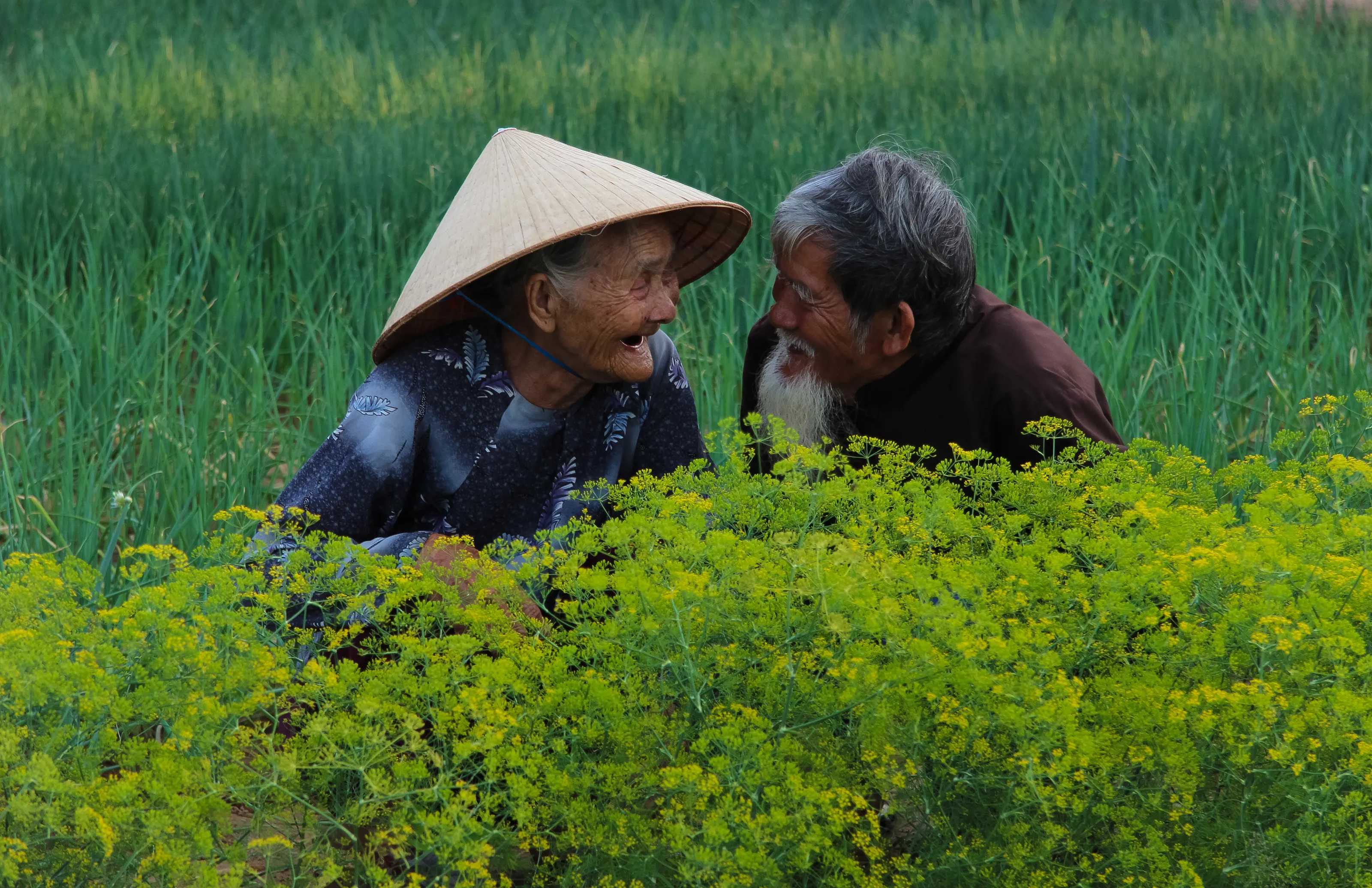 Old Couple
