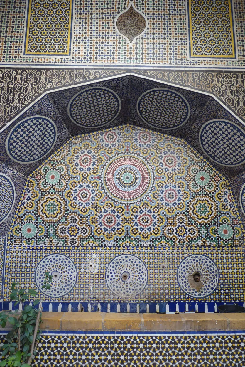 Entry 9444546