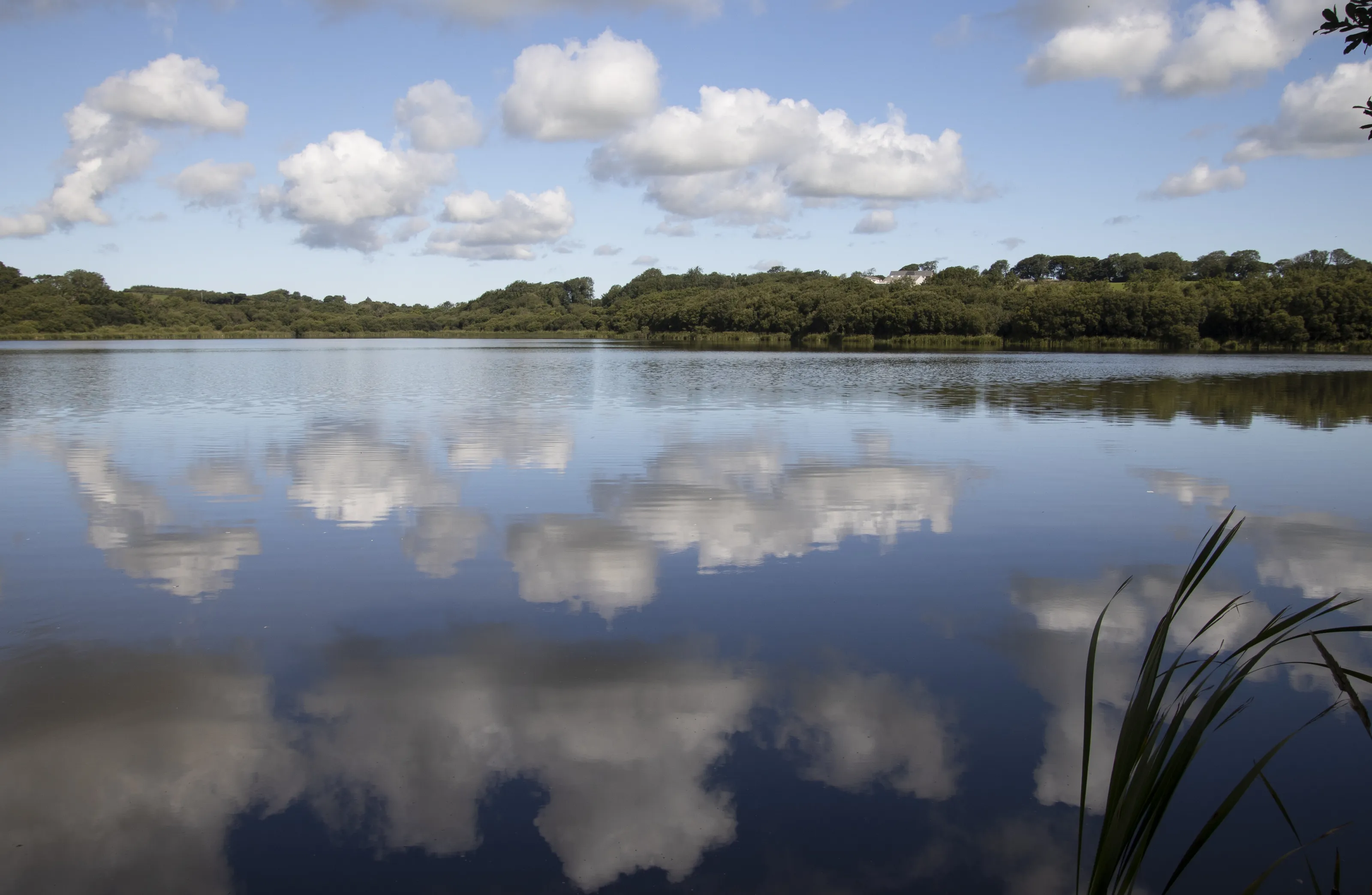 Reflections on a Summers Day