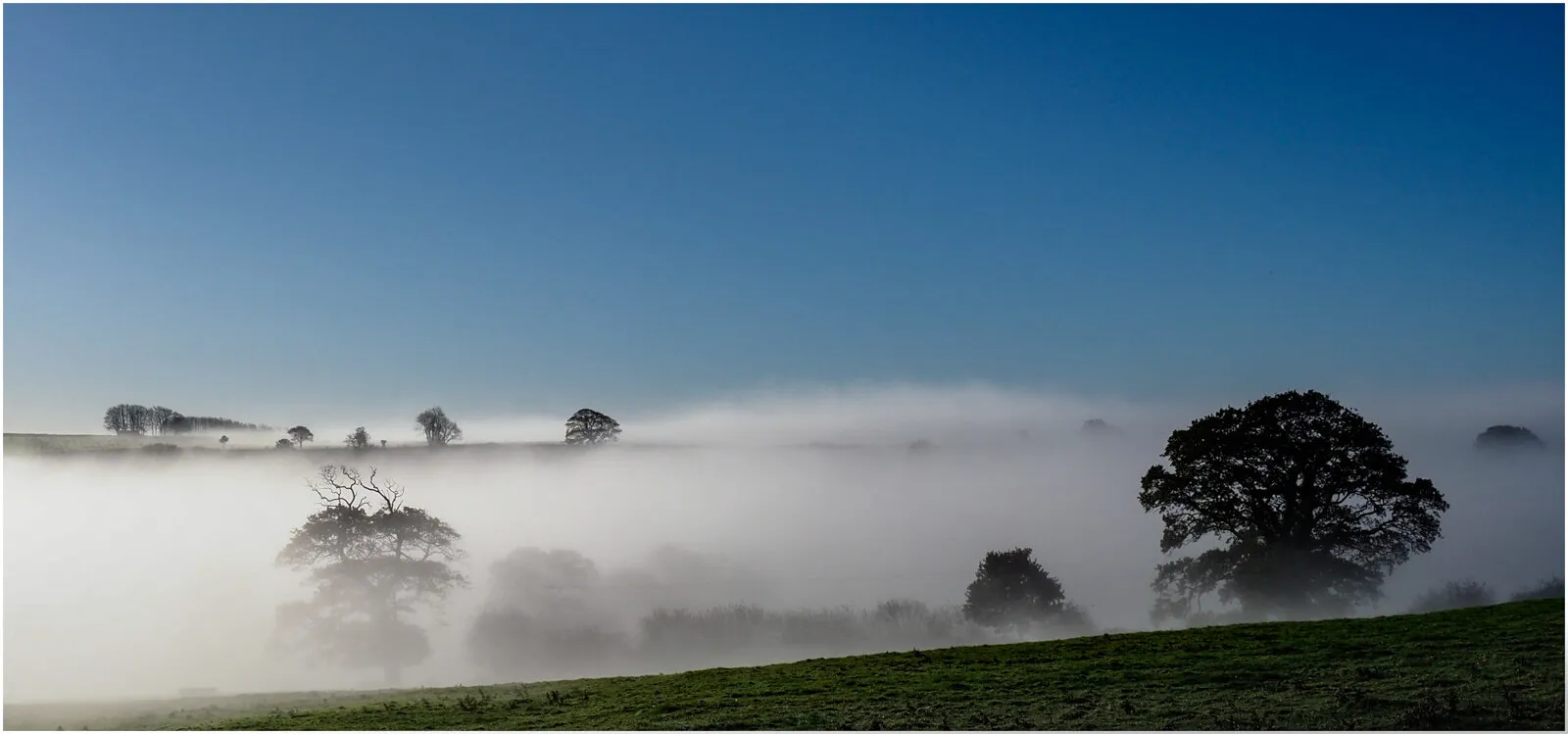 Early morning mist