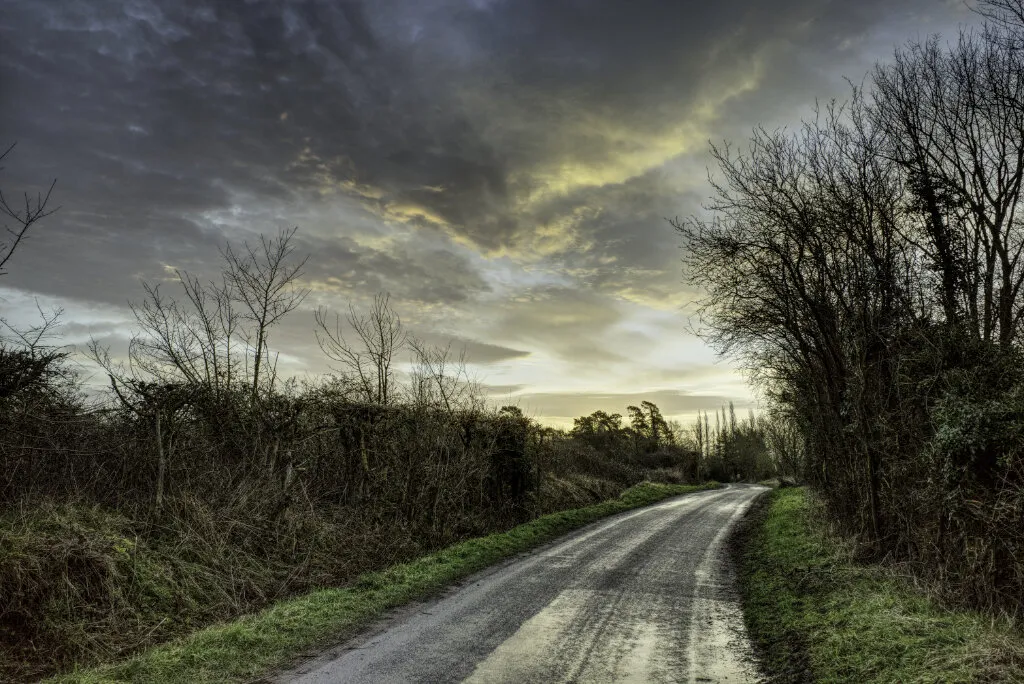 Essex lane at dawn