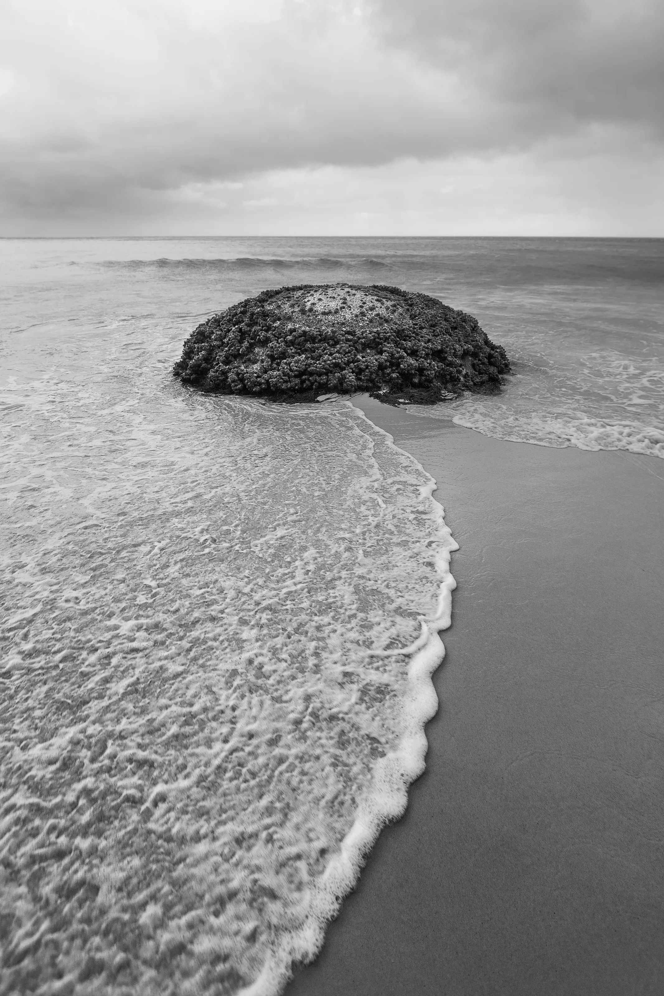 Intertidal