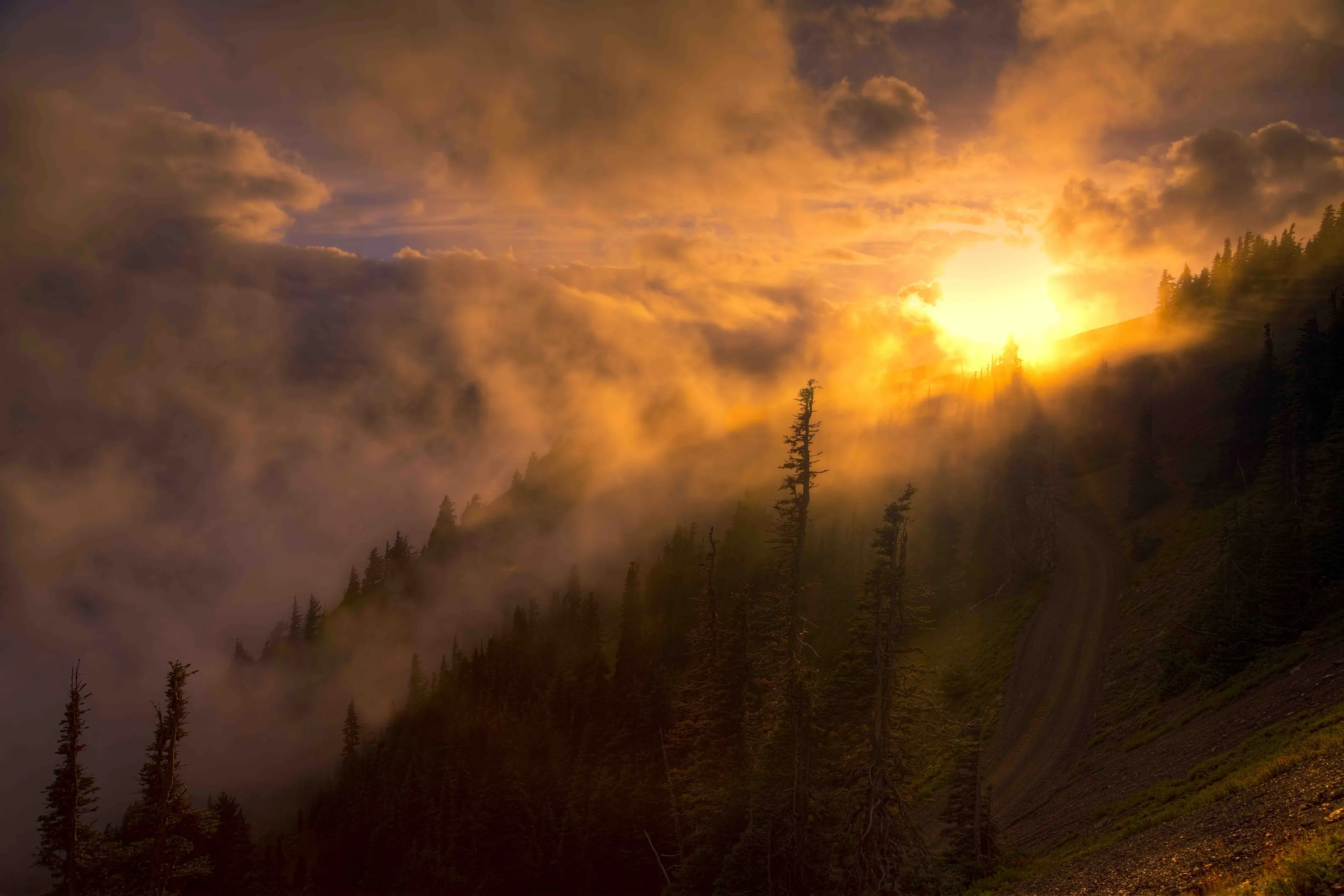 Fire on the Ridge
